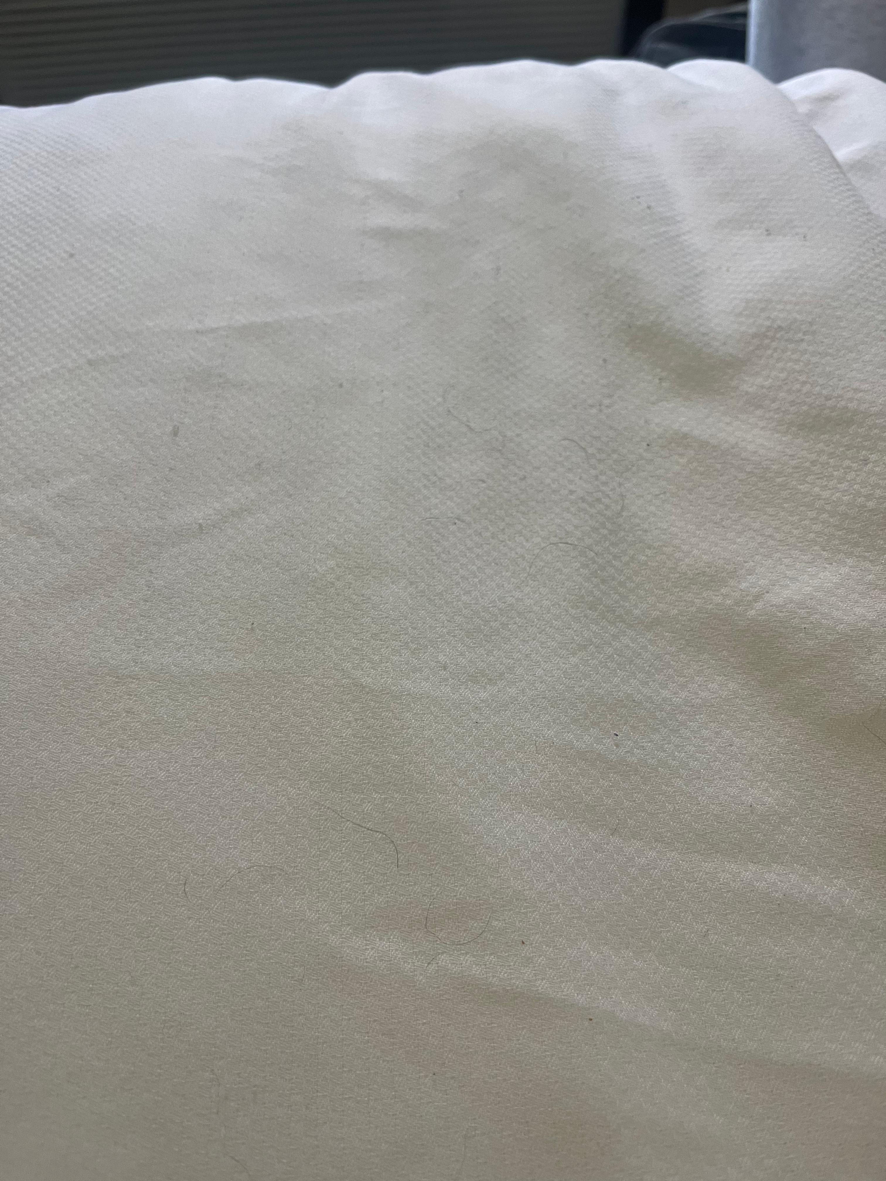 Hairs on the bed