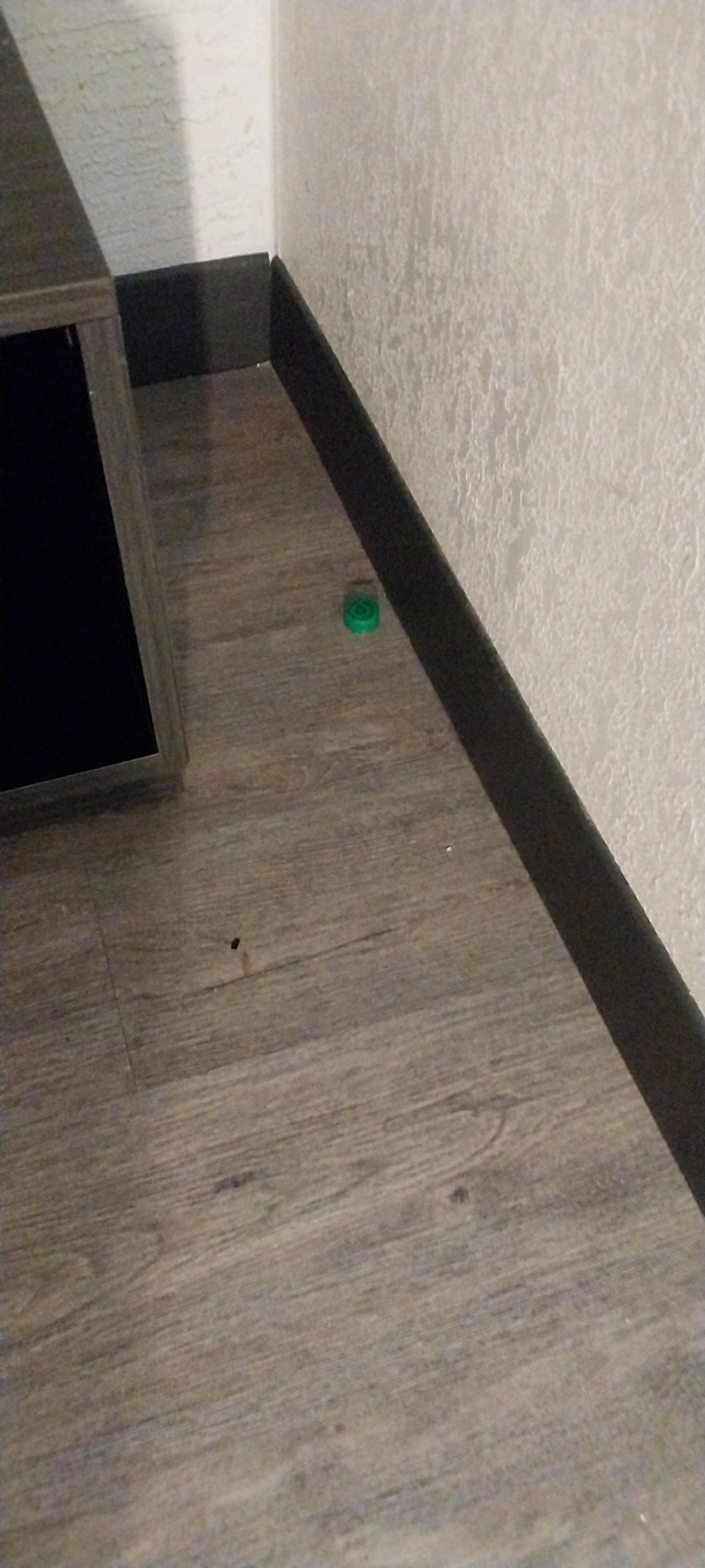 Bottle cap and debris on the floor, there was also a small safety pin that was open on the floor given to the desk clerk.