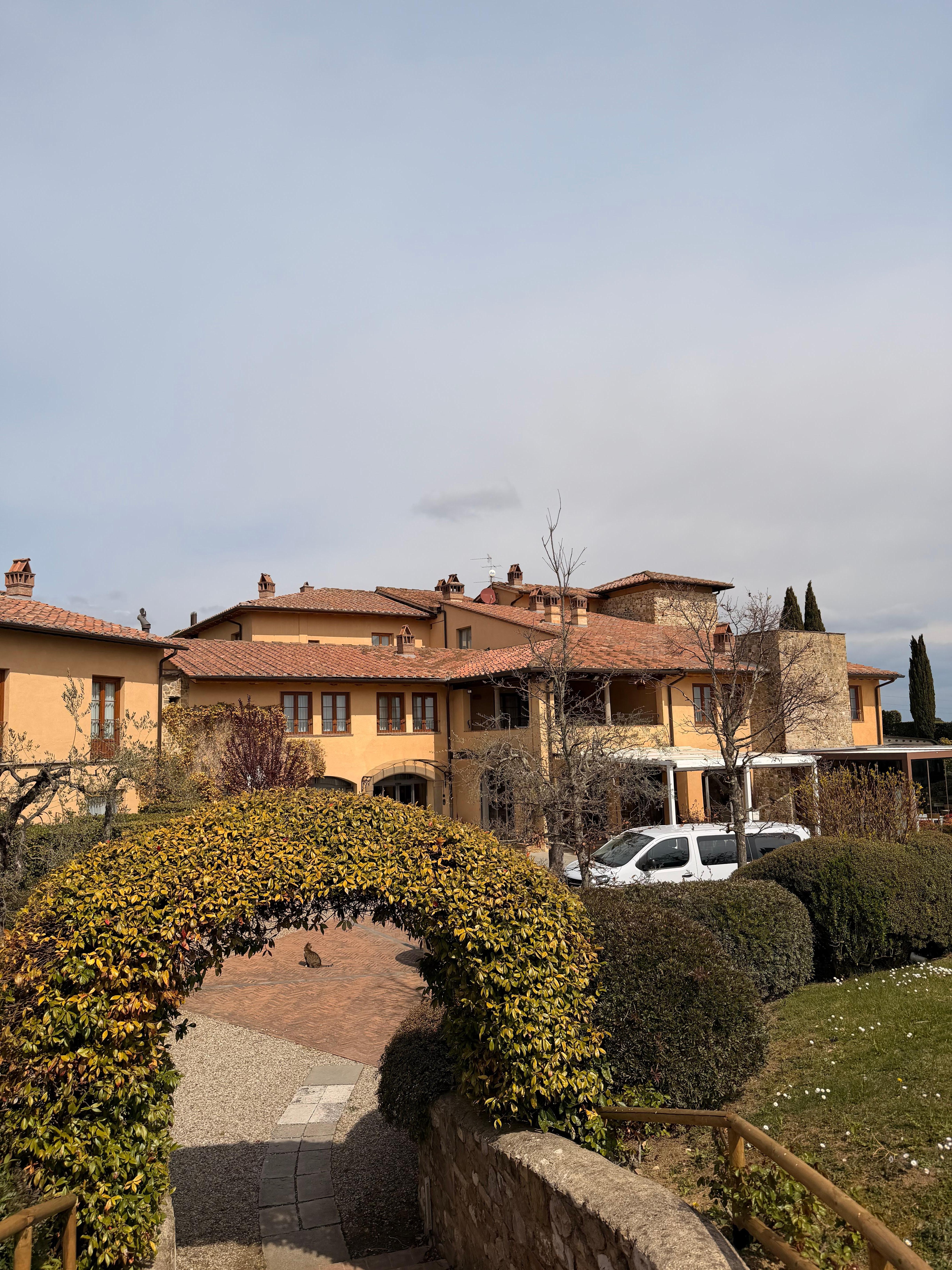 The garden 