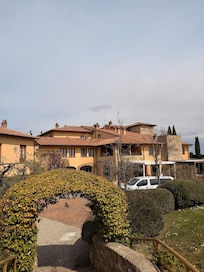 The garden
