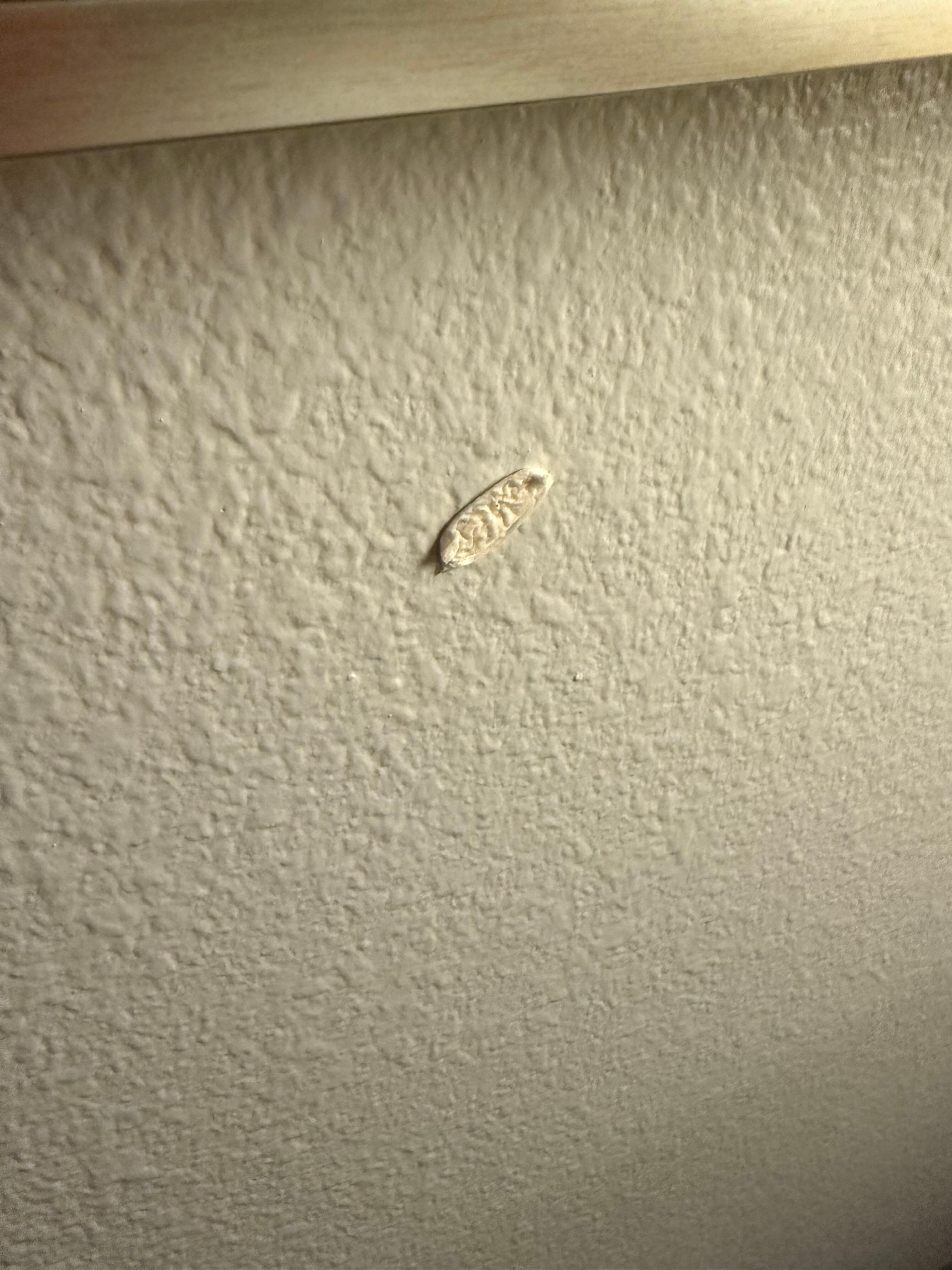 Gum on the wall