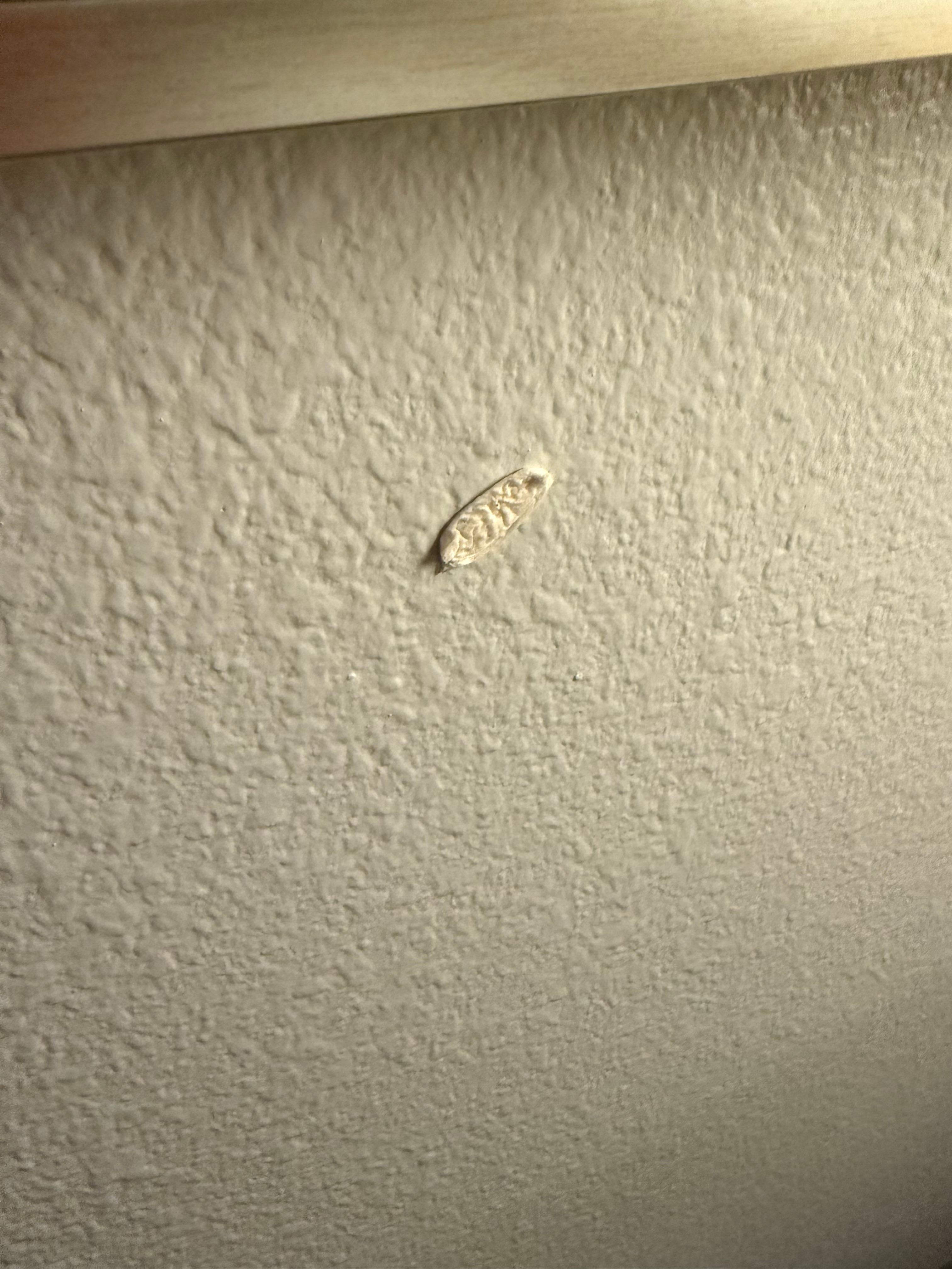 Gum on the wall