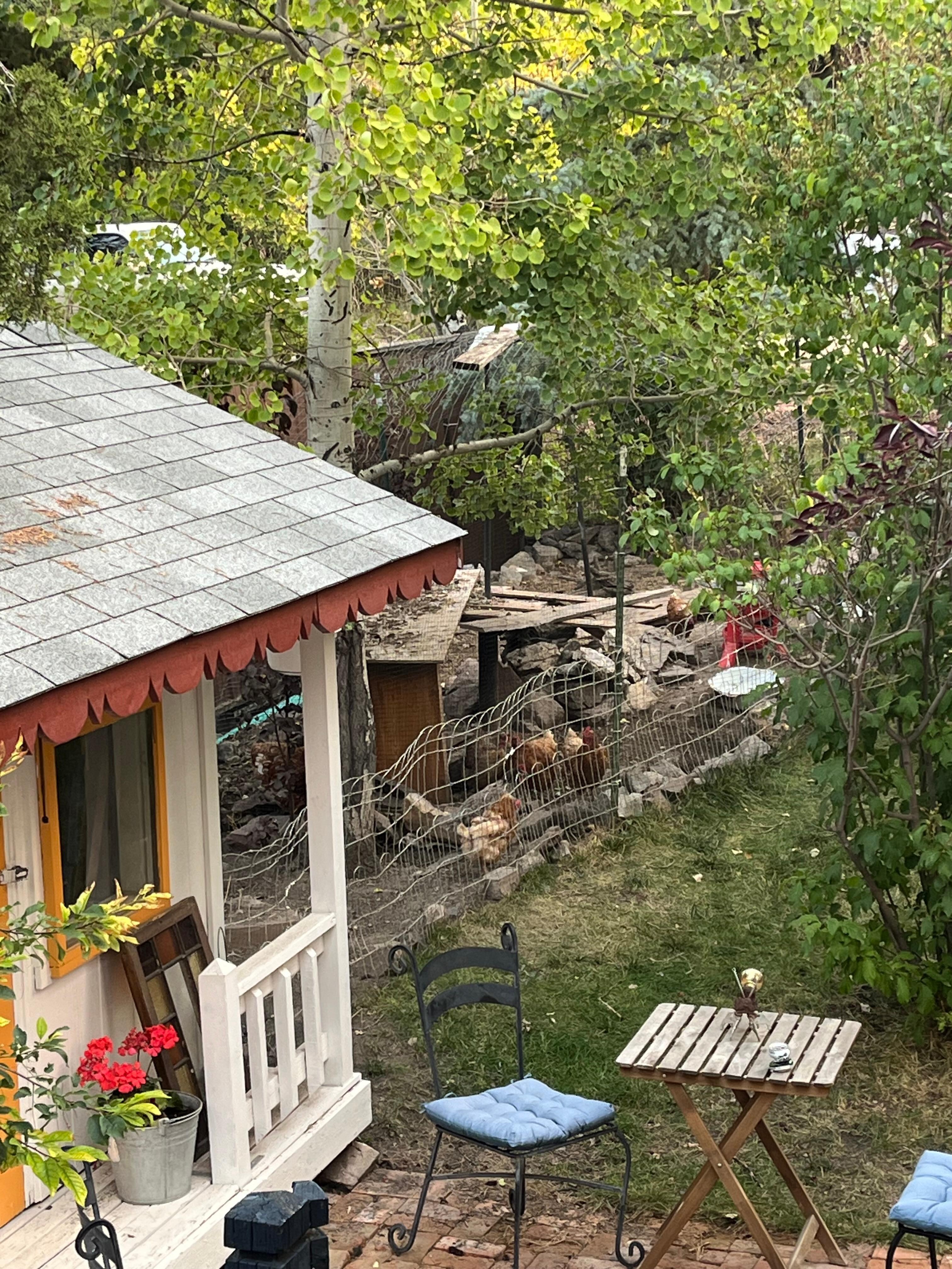 Chicken coop