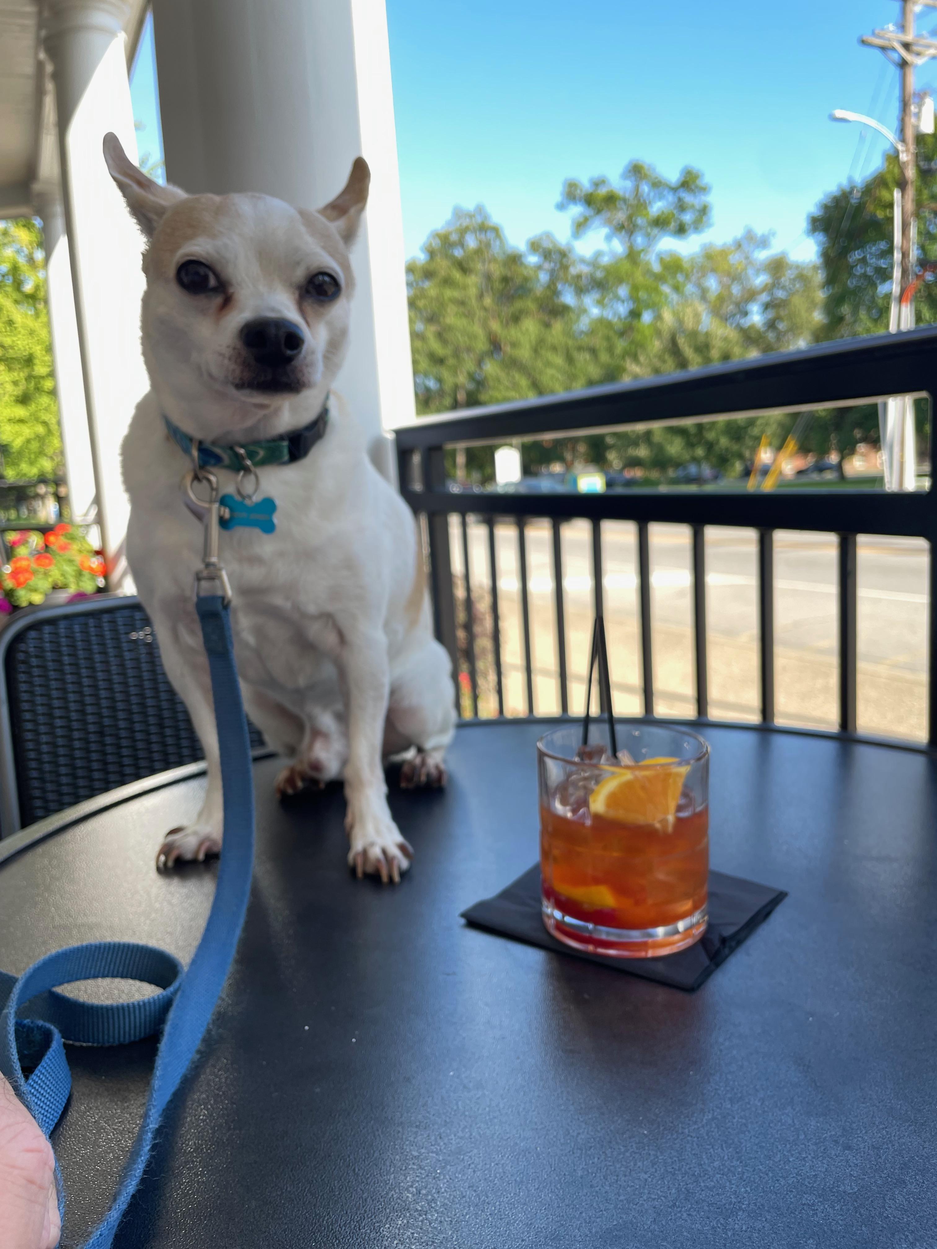 An Old Fashioned on the veranda with "Chevy".