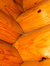 We had many spiders on the beds and closets