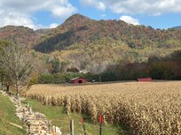 Road to Roan mtn.