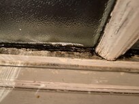 Mould in windows