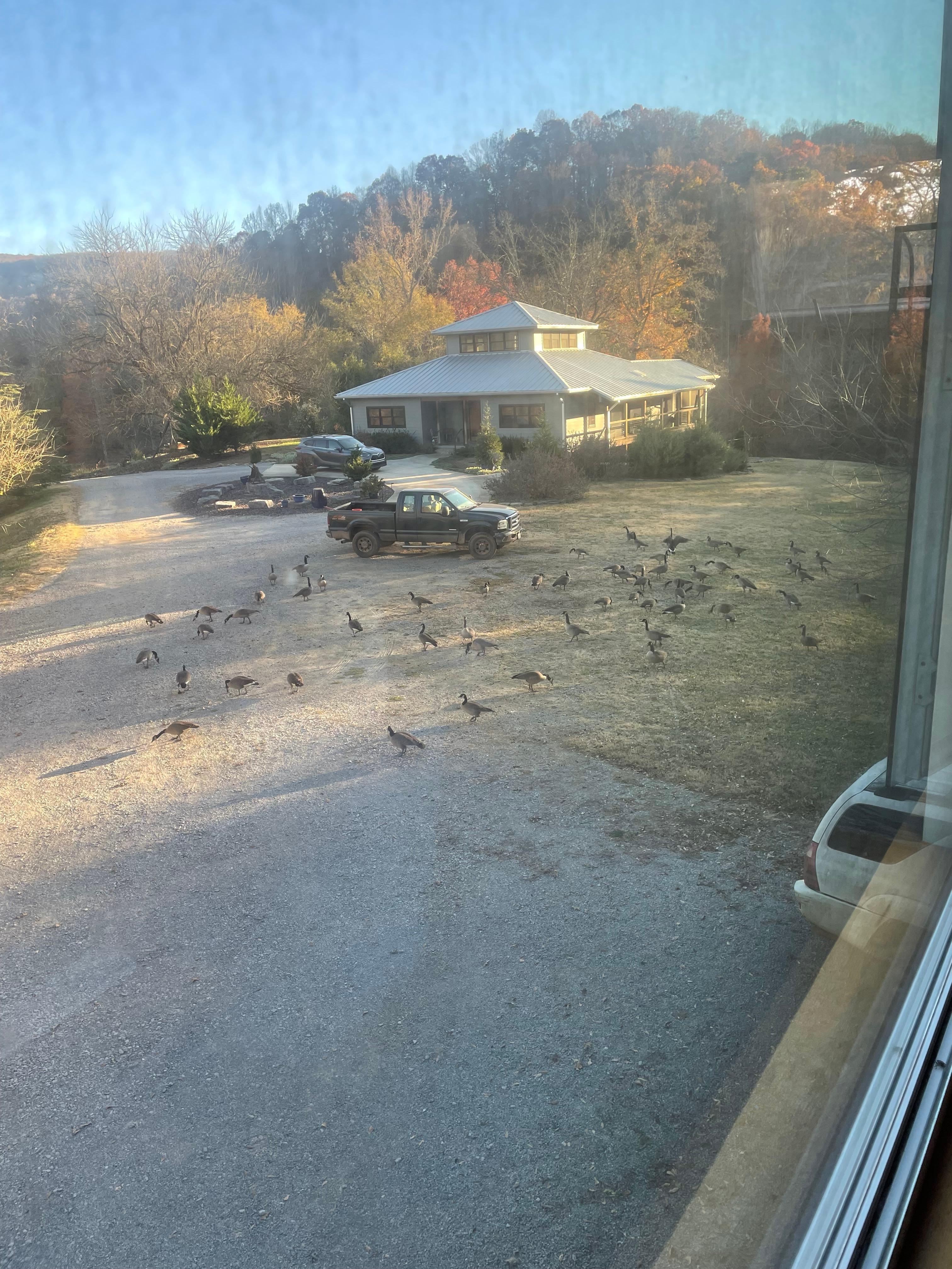 This was part of the view you saw looking out of the huge windows across the front