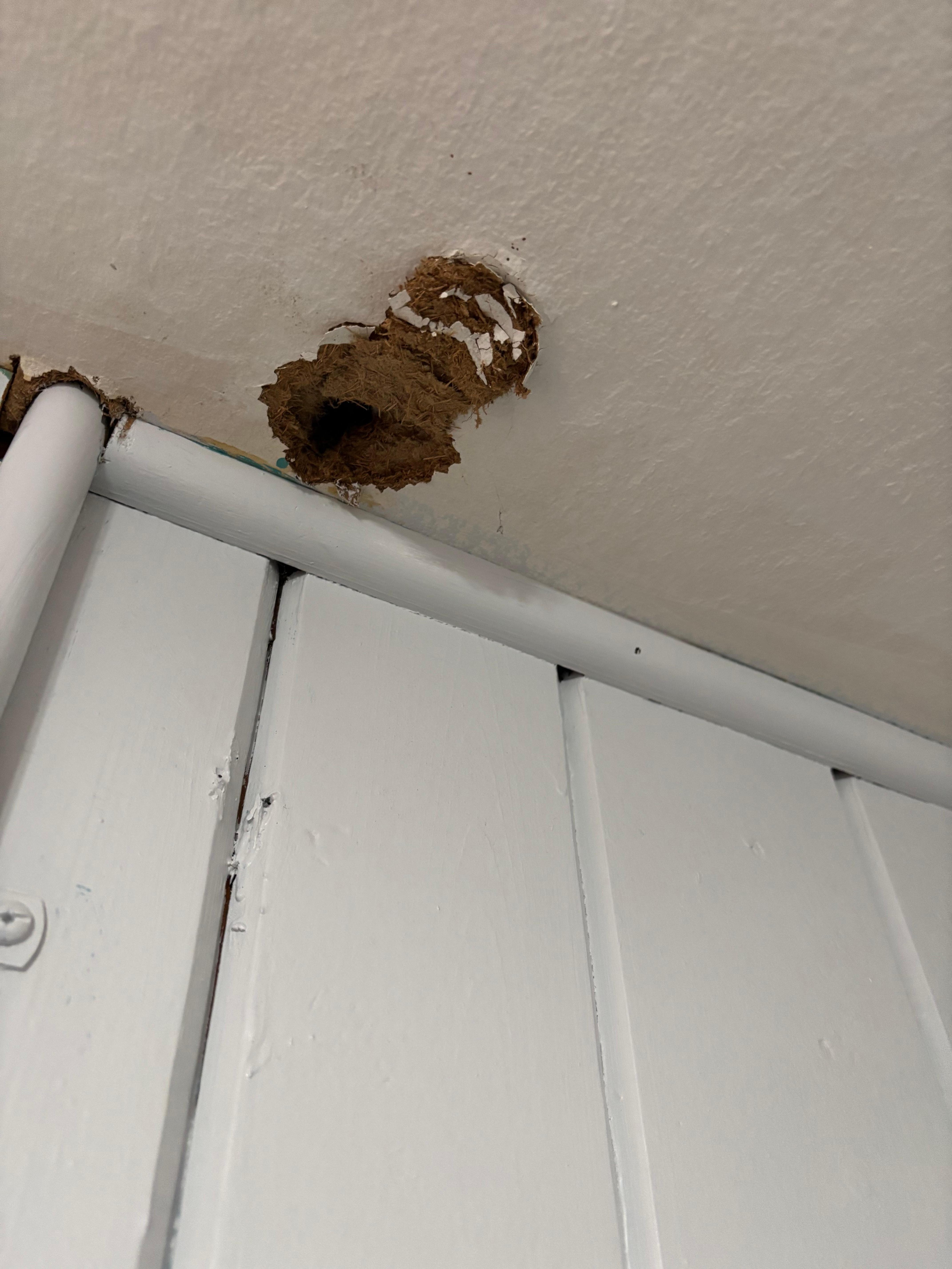 Hole in the ceiling of the bedroom