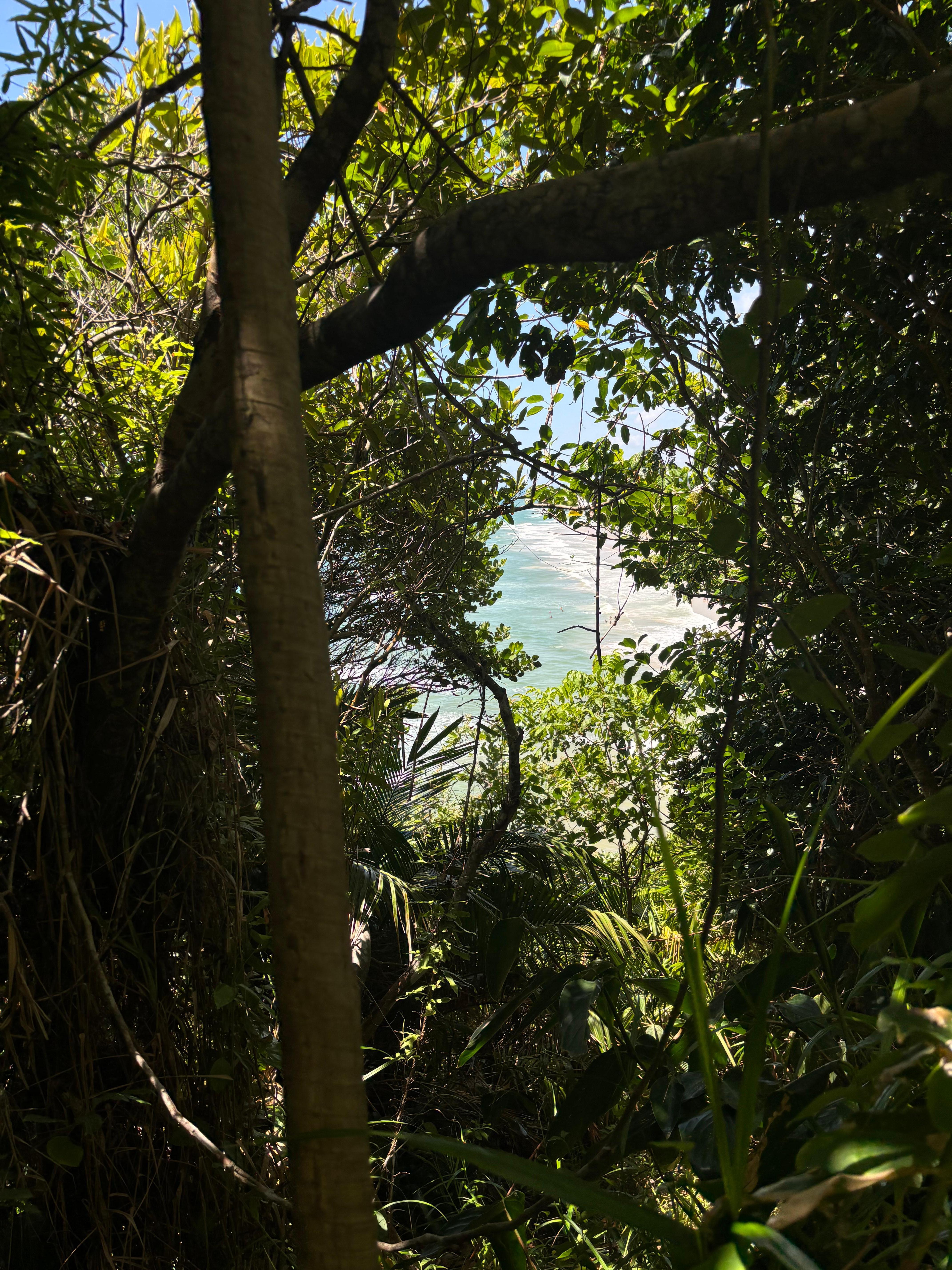 Vista da trilha da praia da Ribeira 