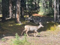 From the kitchen window!