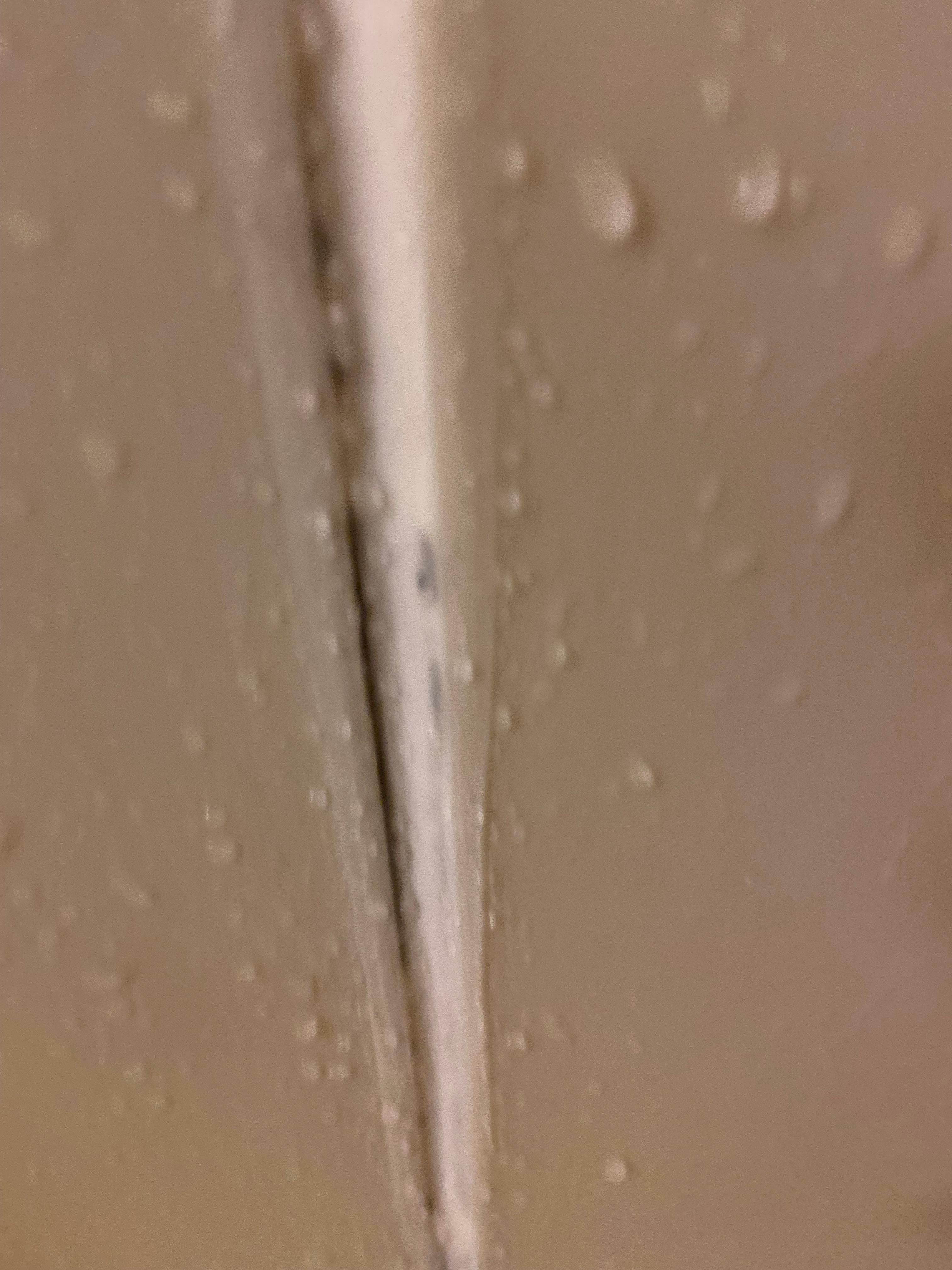 To me looks like mold, not sure in shower