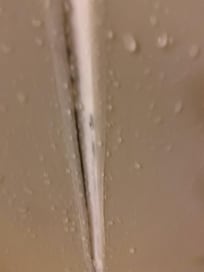To me looks like mold, not sure in shower