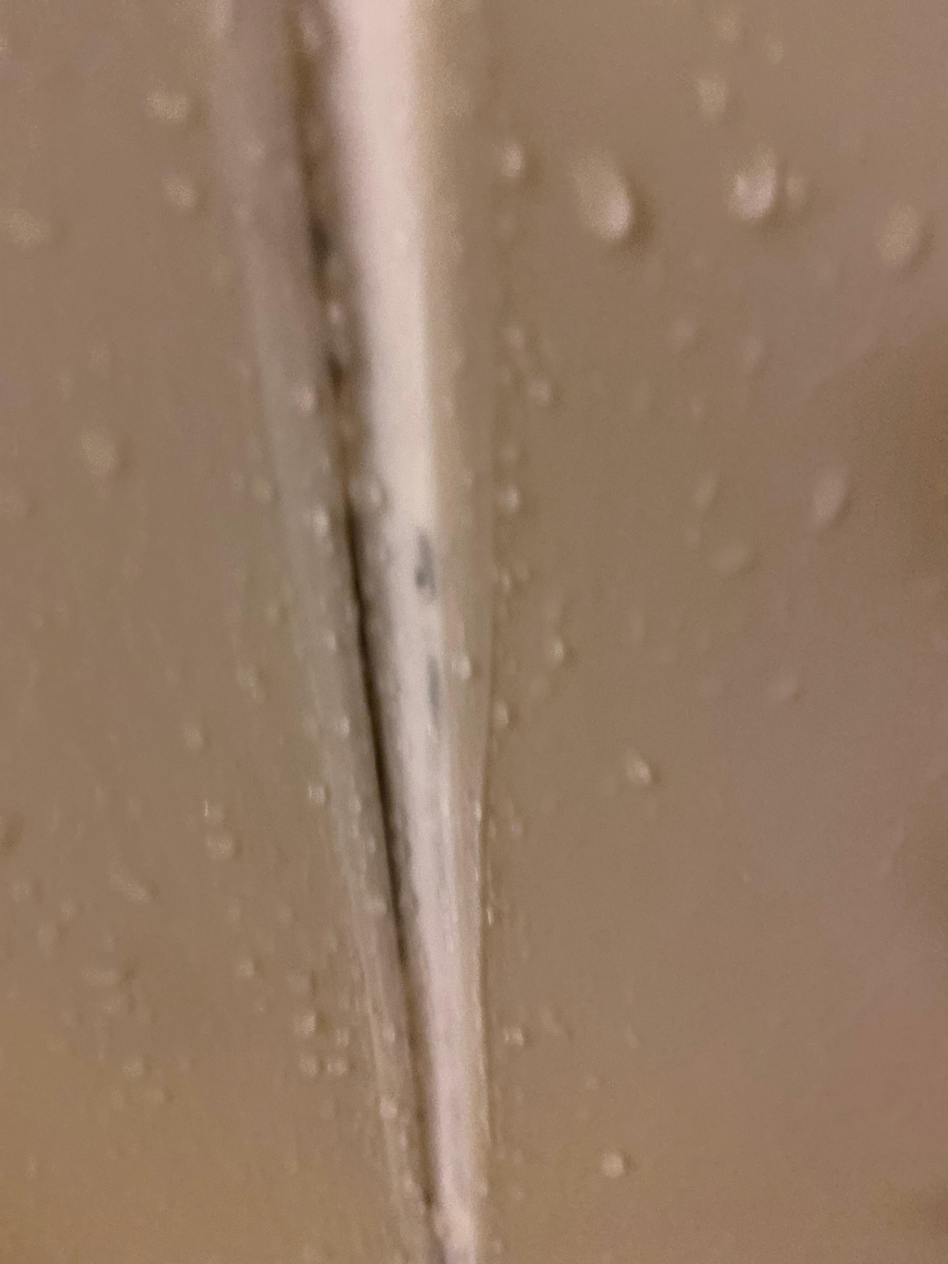 To me looks like mold, not sure in shower 