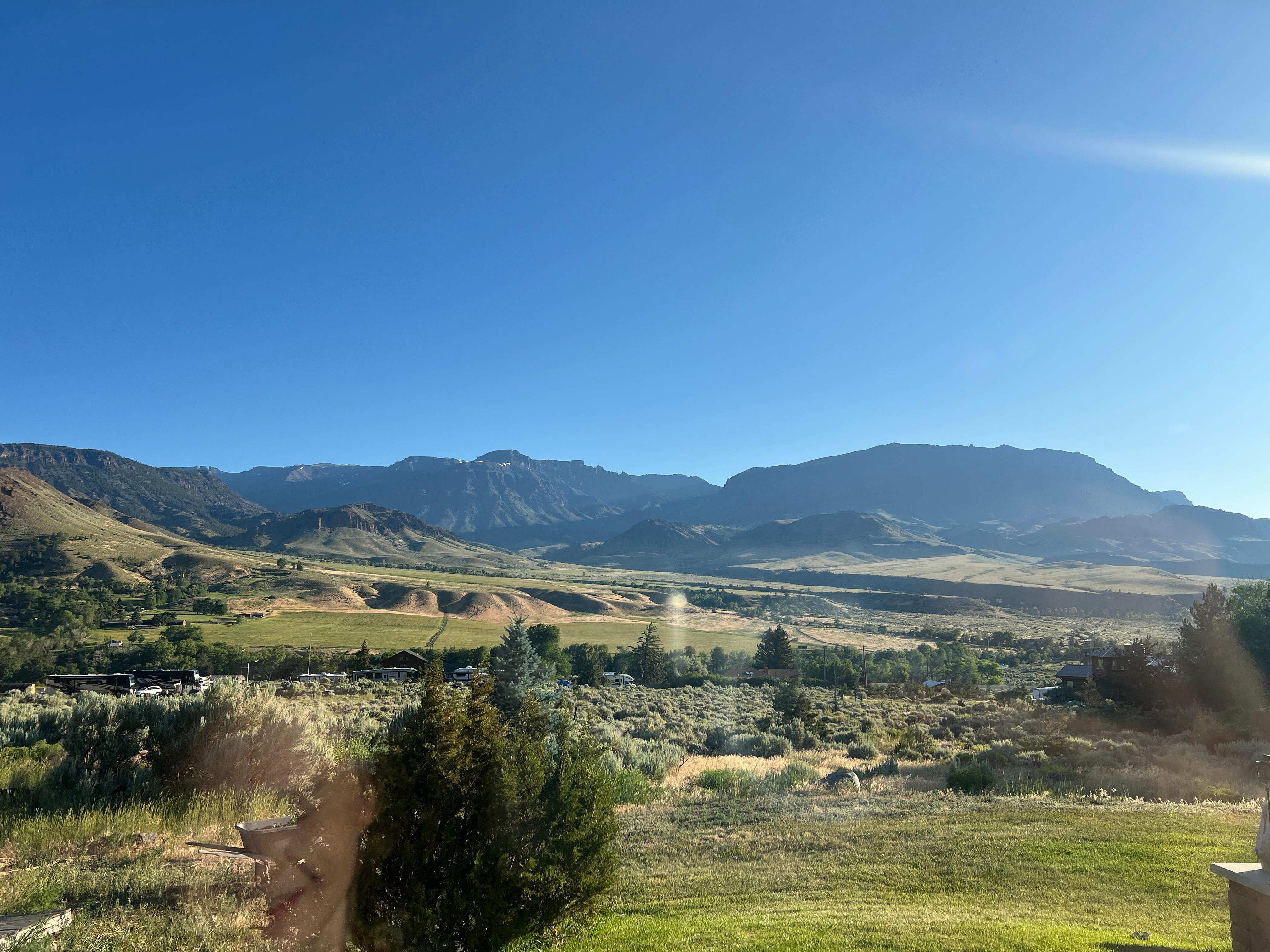 View out the front window in the morning. 