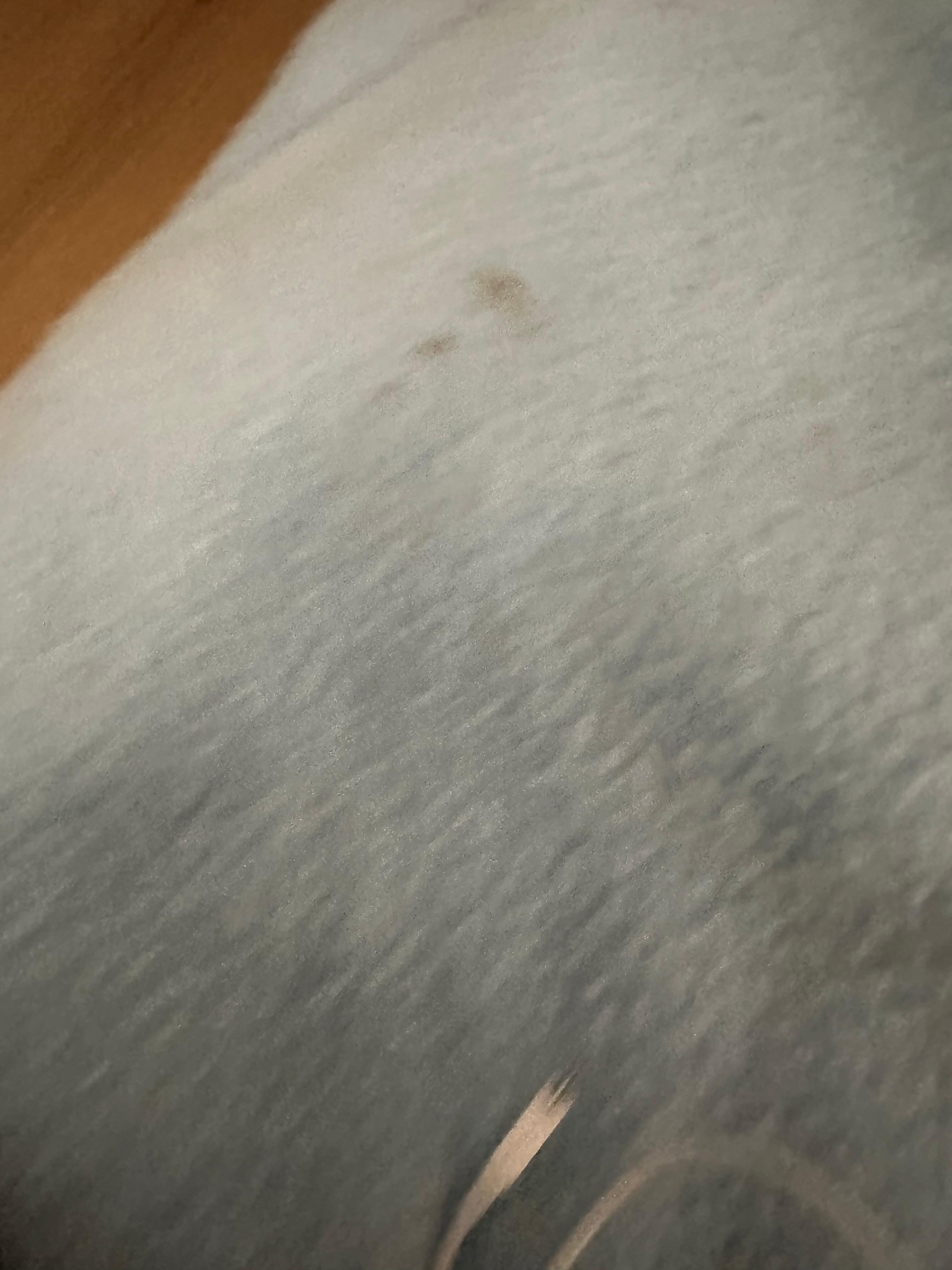 Blood?? On the old tatty blanket