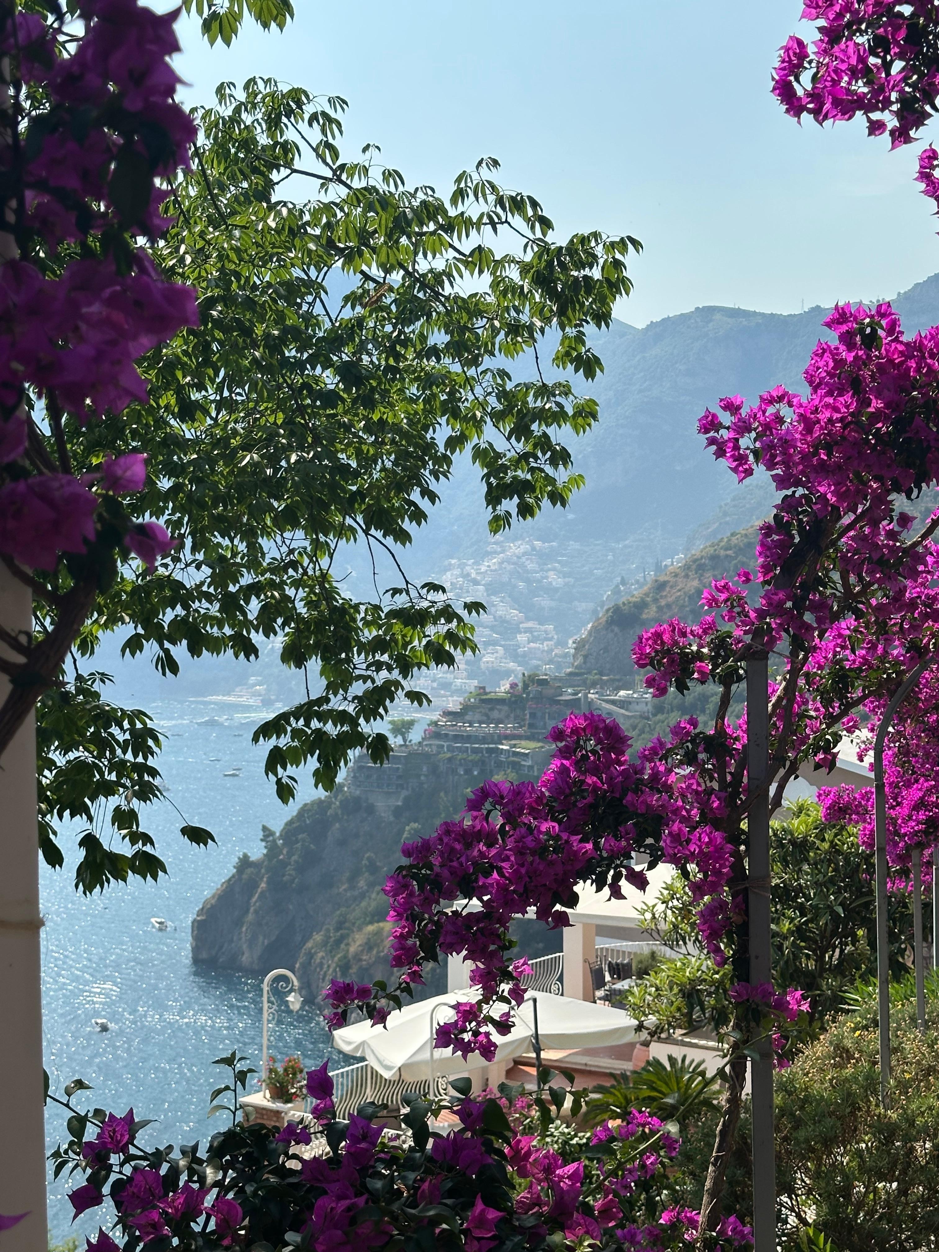 view from on property