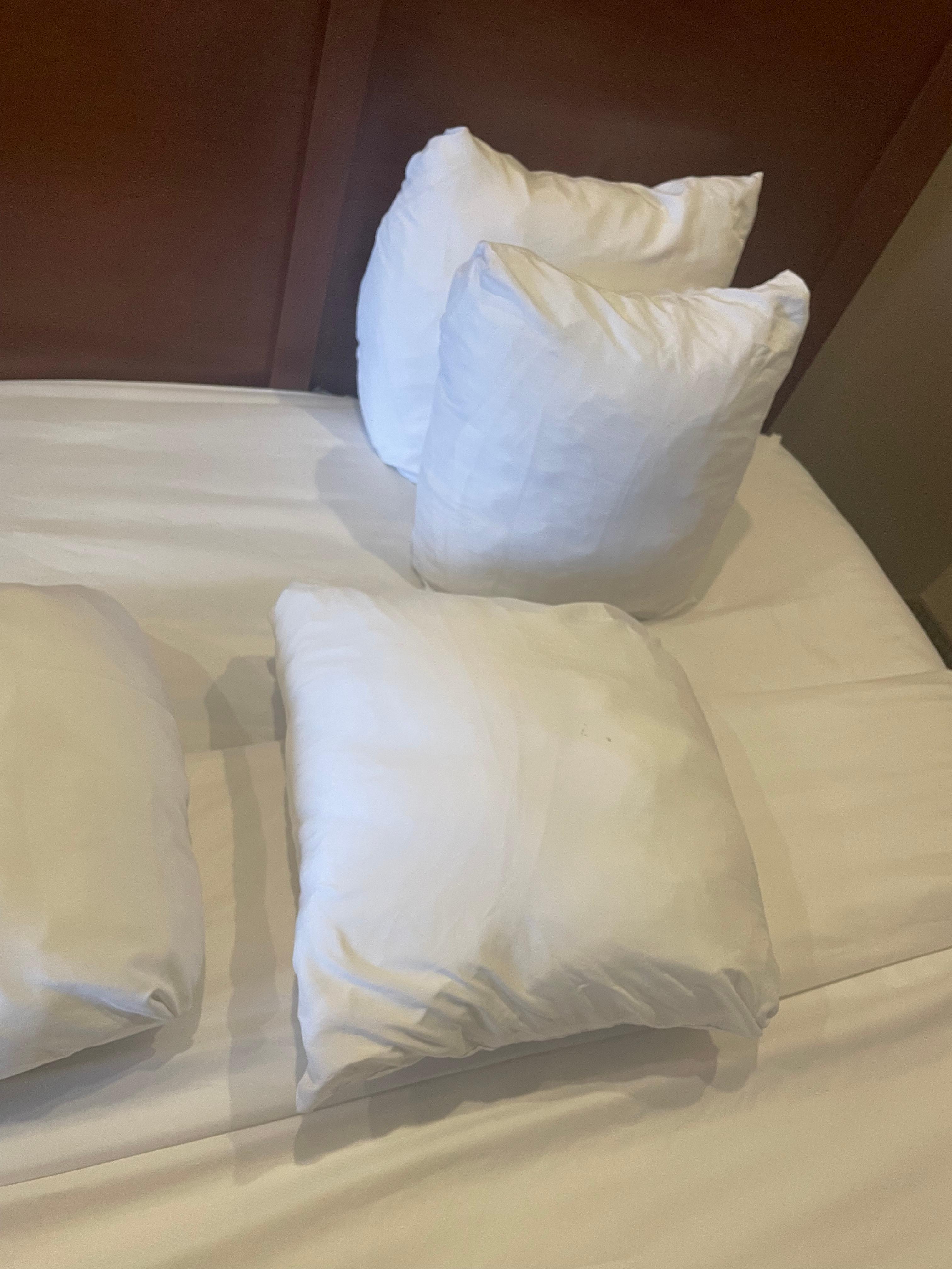 Pillows in our room look like throw pillows 