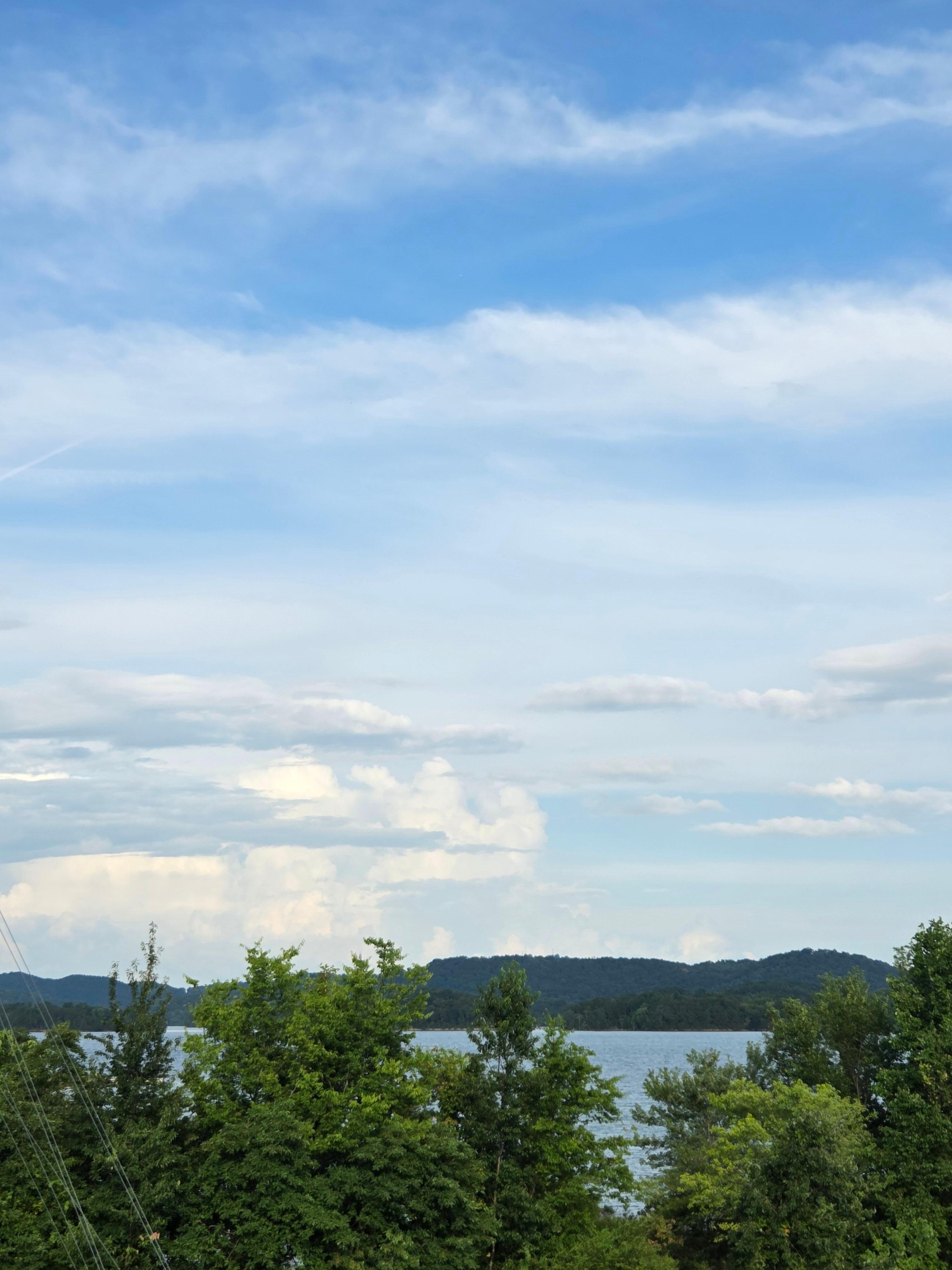 daytime view from the back porch