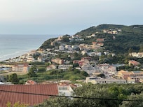 The view