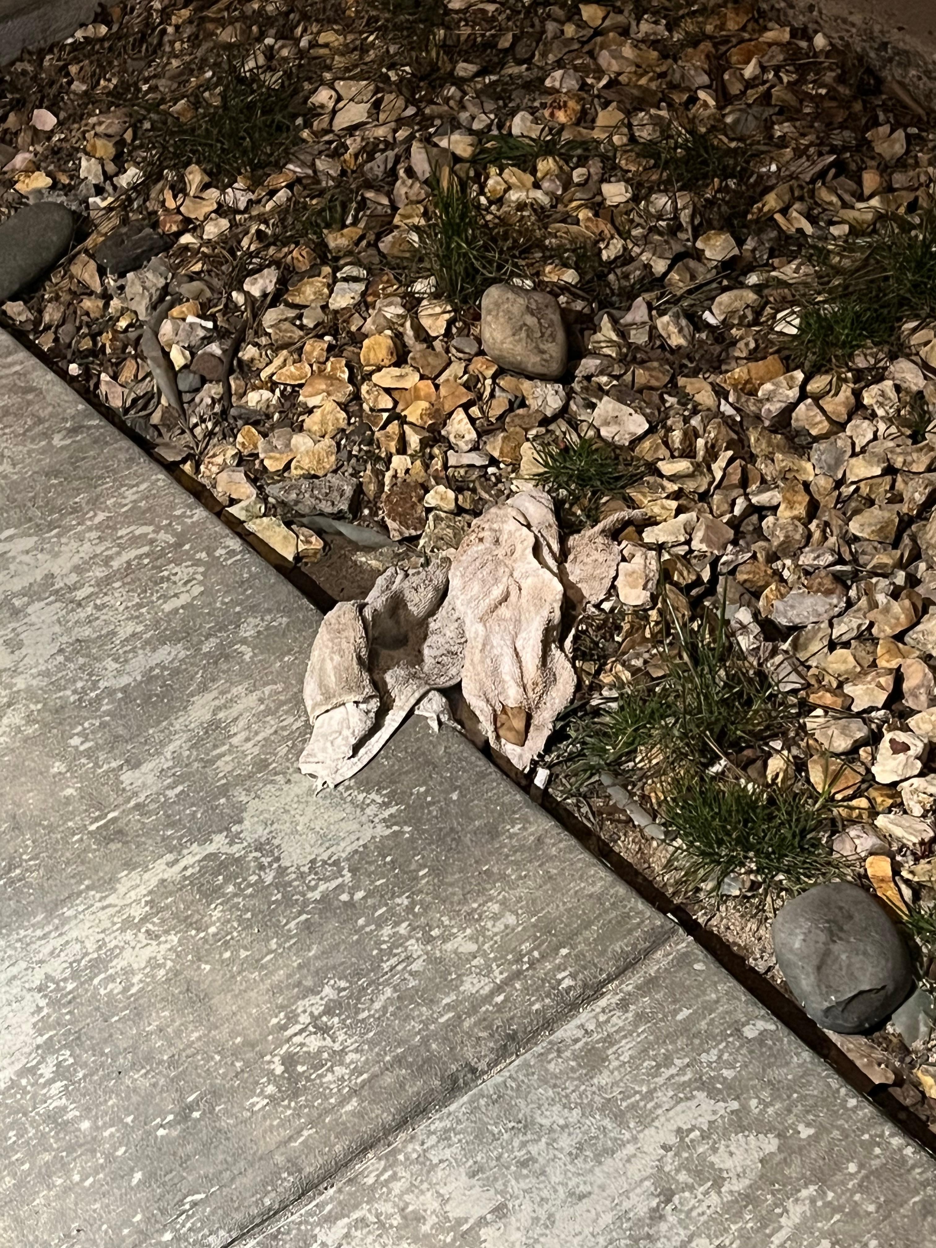 Dirty towels outside room