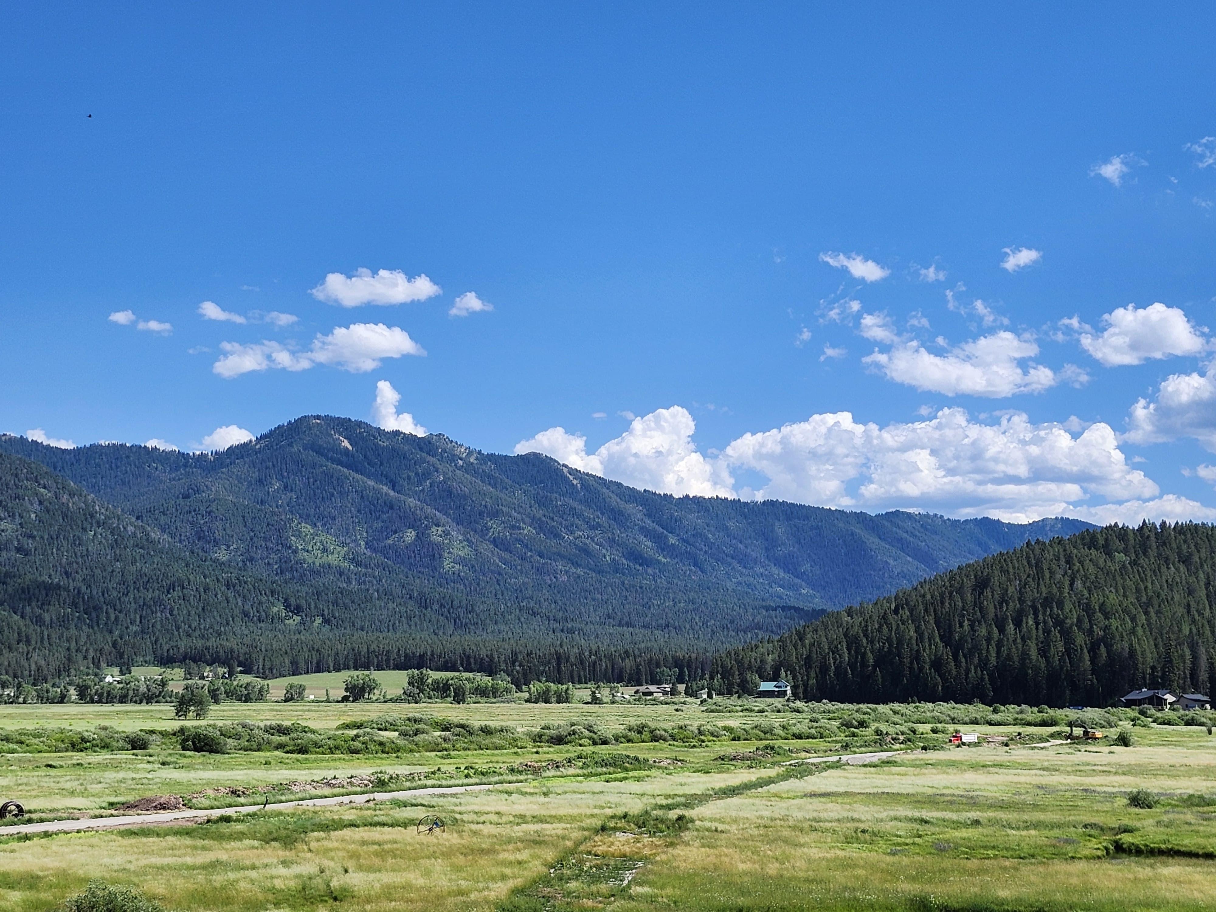 View from the property