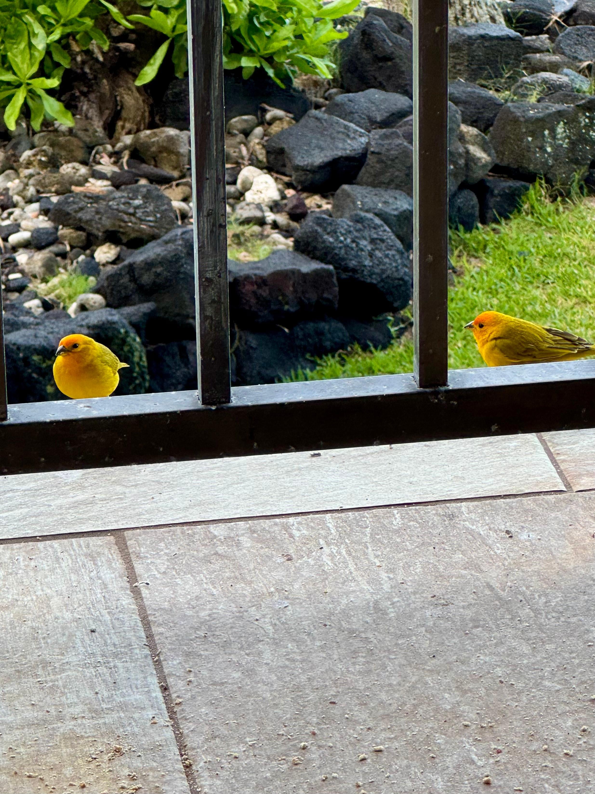 Couple visitors that stopped by to say hi