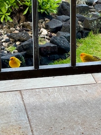 Couple visitors that stopped by to say hi