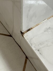Master shower uostairs had mold in several places. Smelled moldy.