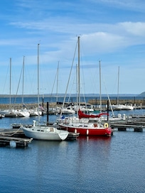 Enjoyed a nice walk to the marina
