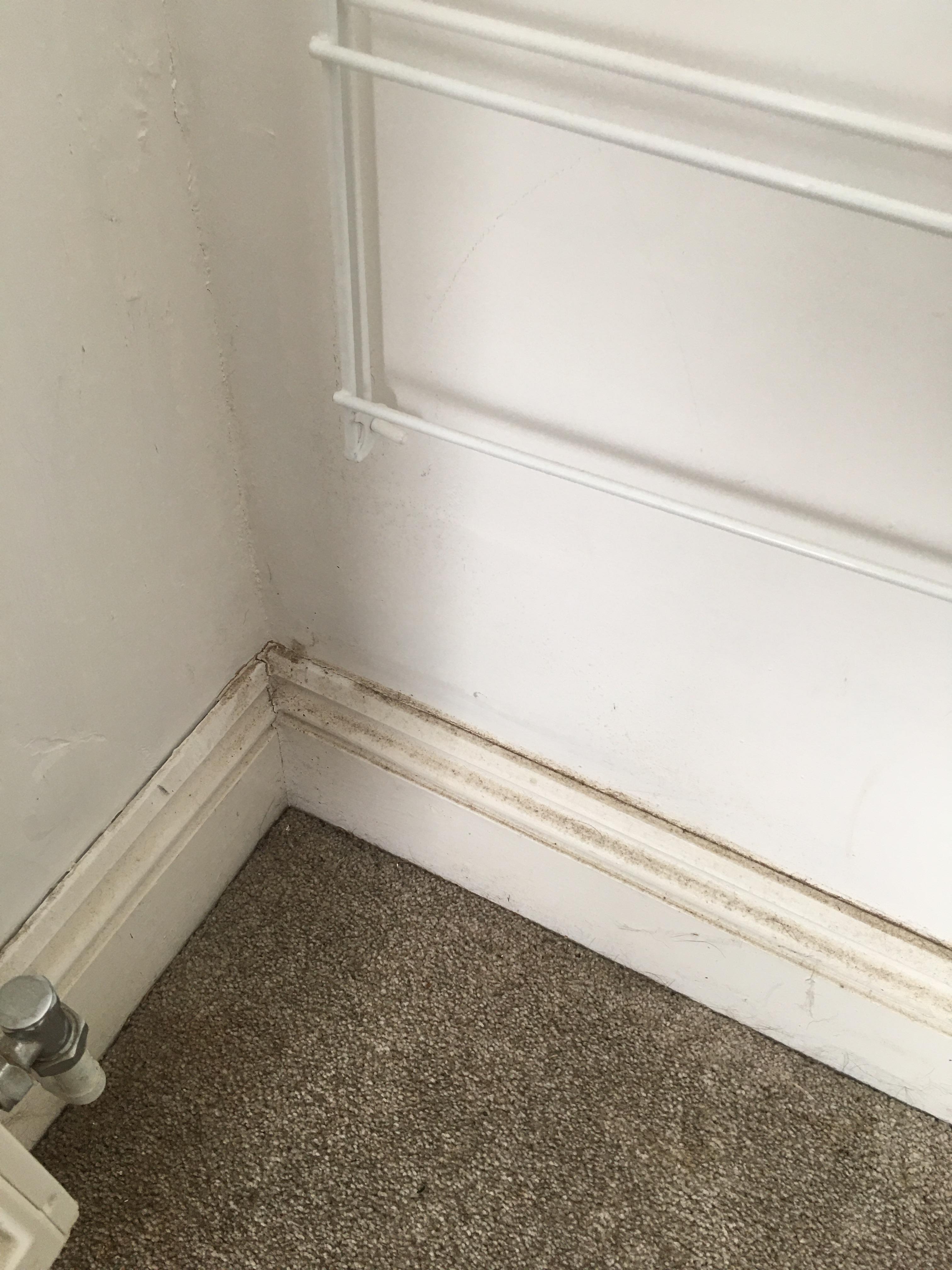 Général dust all around skirting