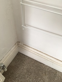 Général dust all around skirting