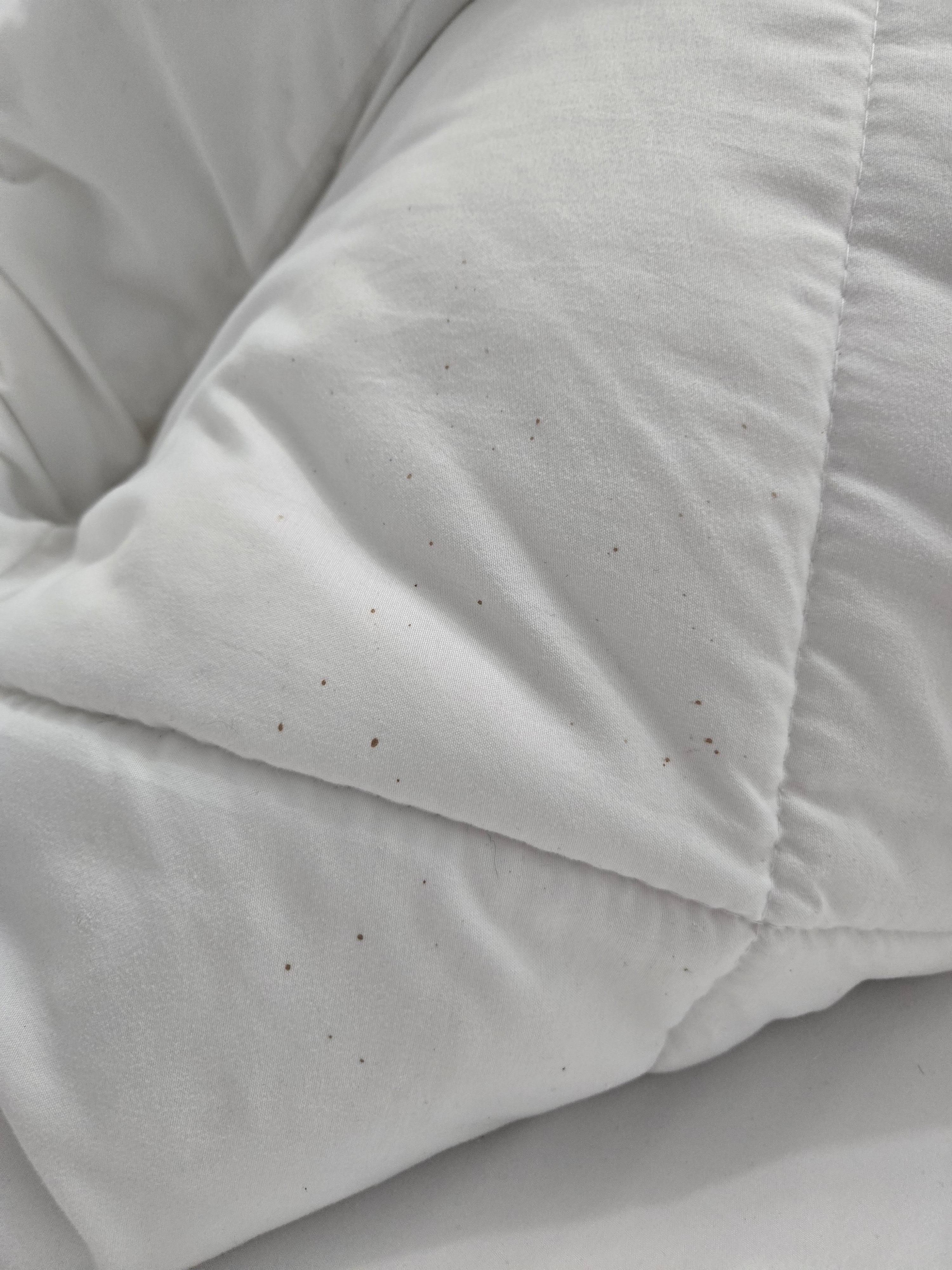 Hair in the bed upon arrival