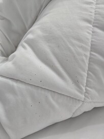 Hair in the bed upon arrival