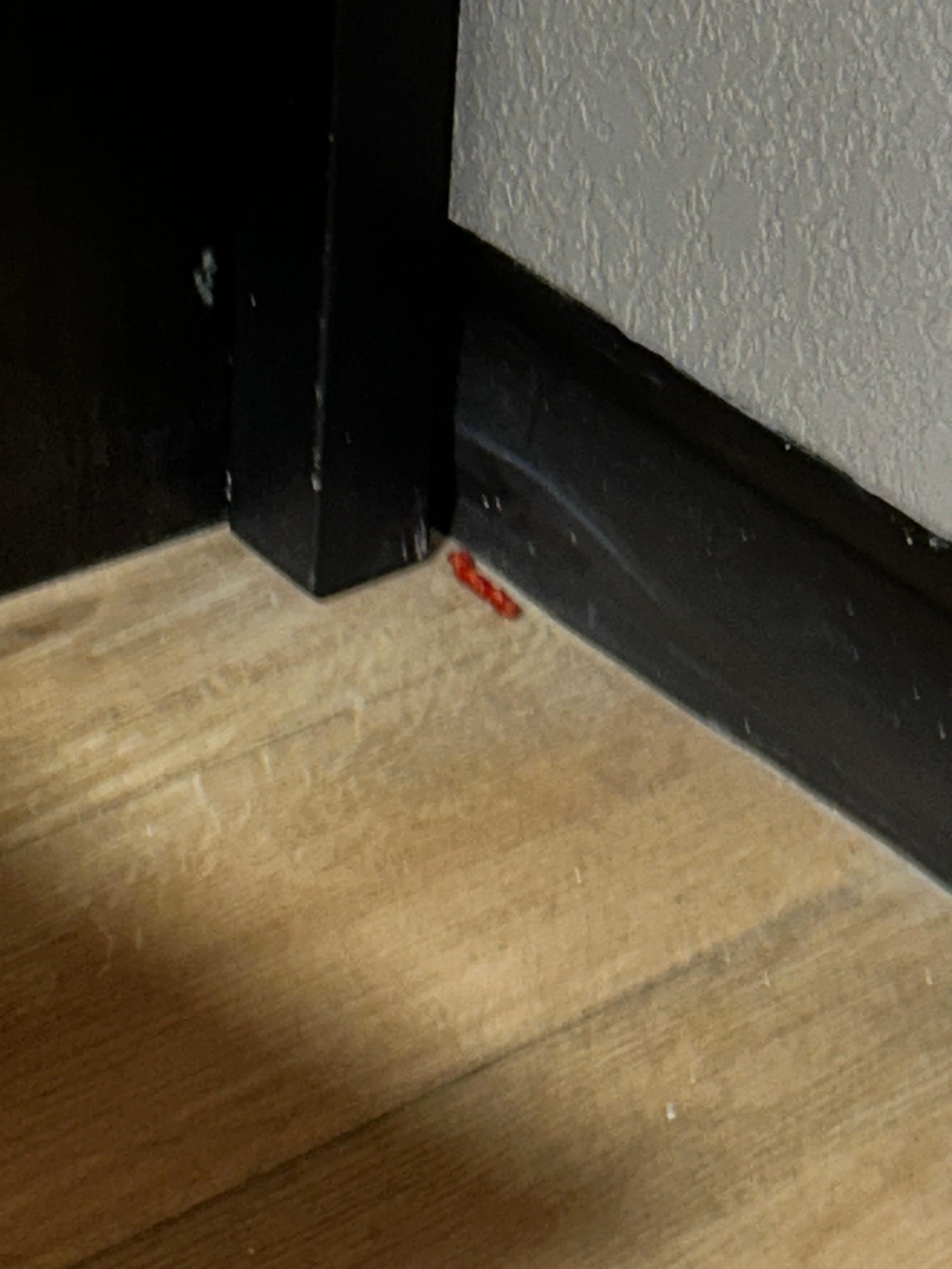 Food on floor