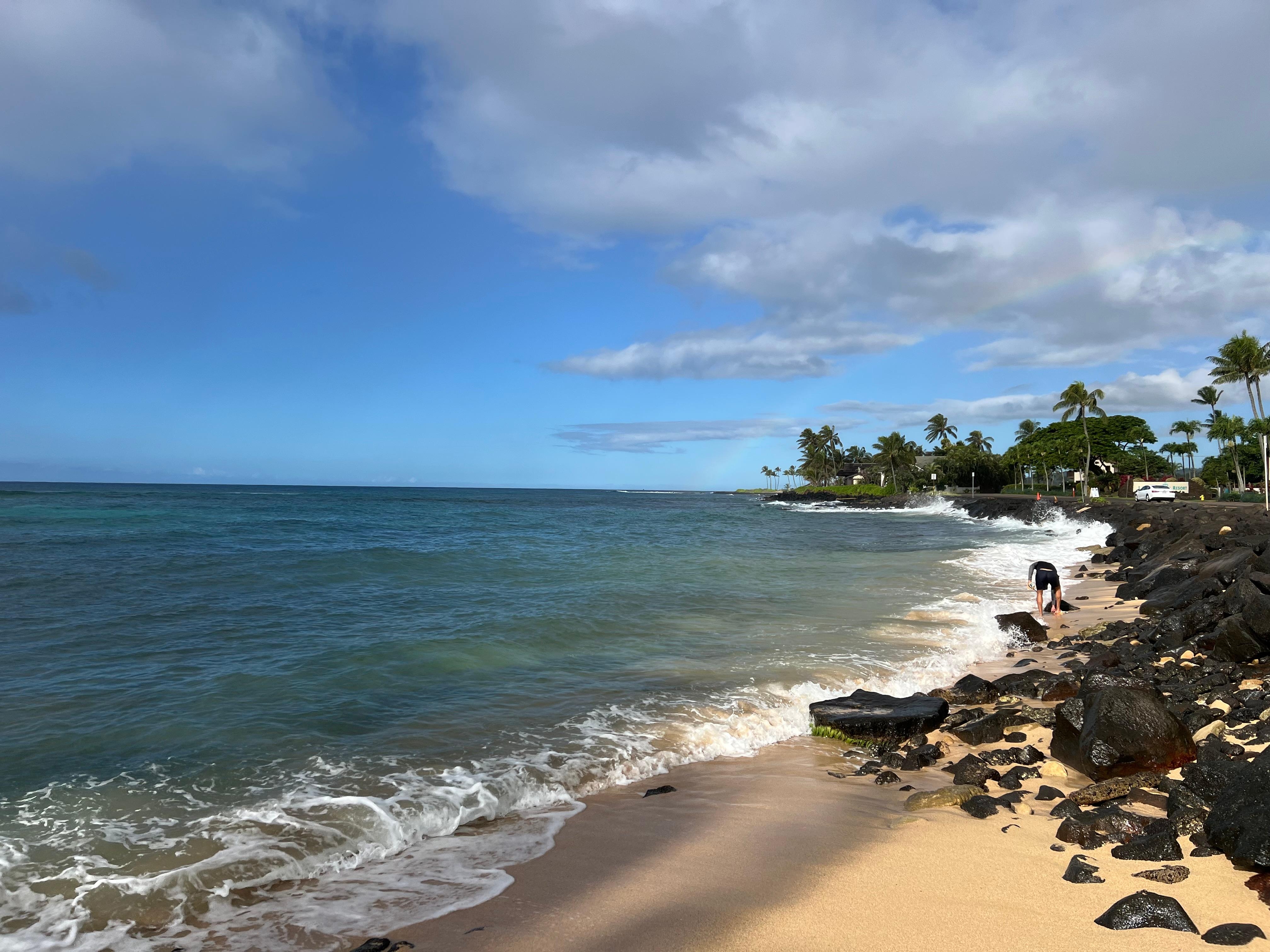 Coastline from the beach adjacent to condo