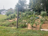 A beautiful garden out back our cottage with a story of friendship as this beautiful garden is the original owner’s . Out of kindness and compassion the new owners allow them to still grow their garden bringing such an essence of how compassion