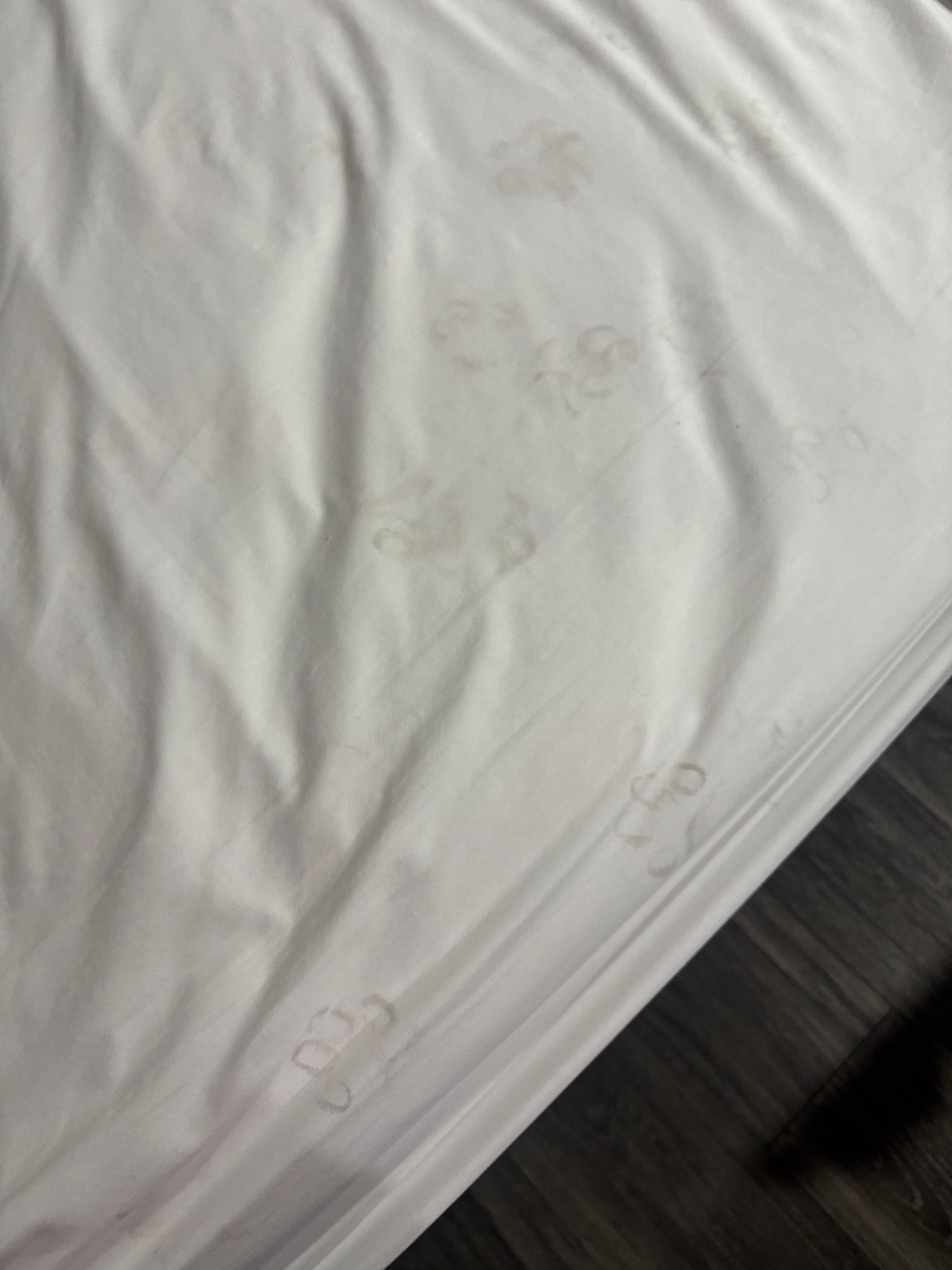 Dog footprints on the sheets