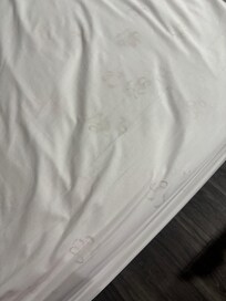 Dog footprints on the sheets