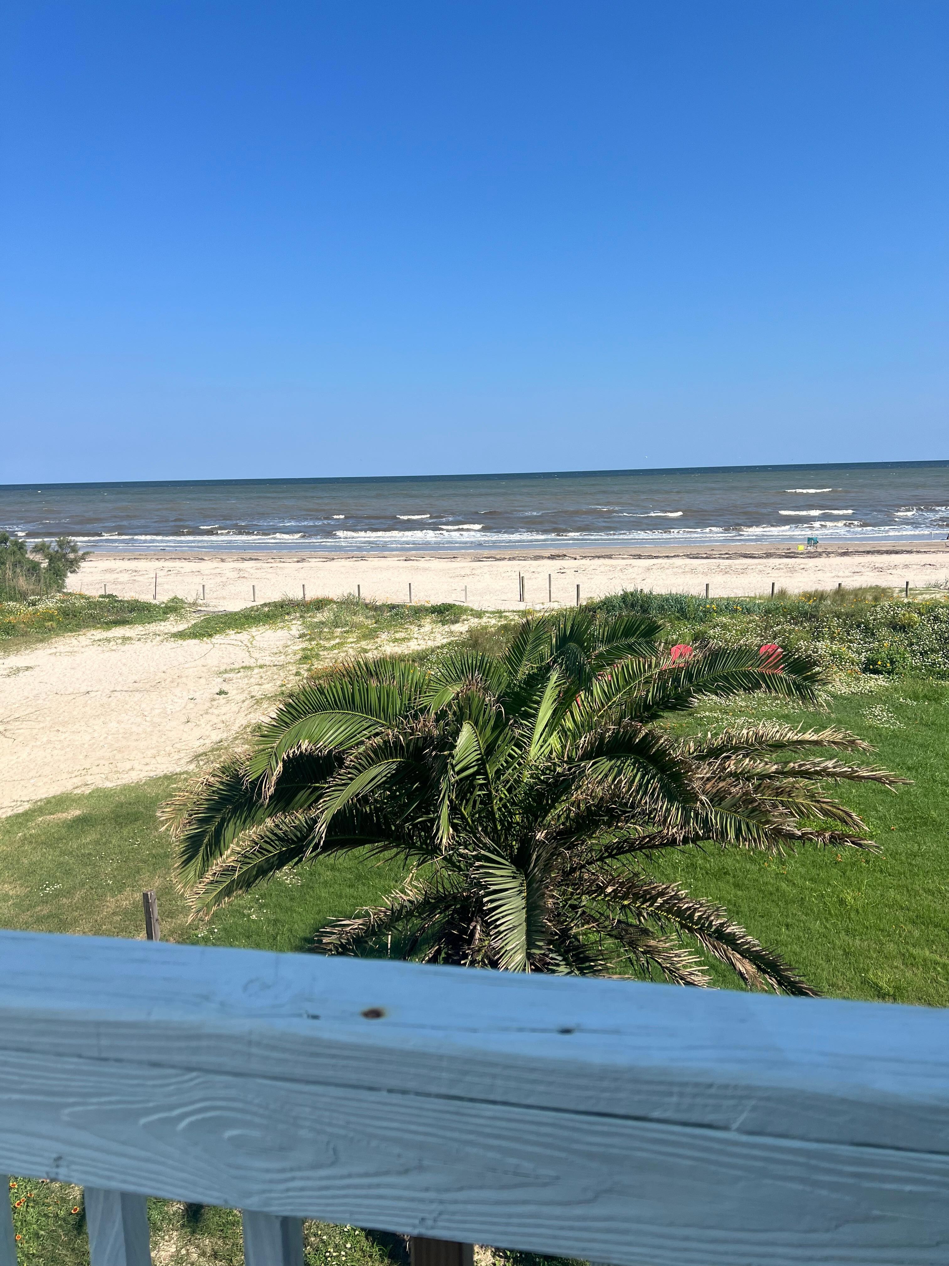 Our view of the beach from the porch. 