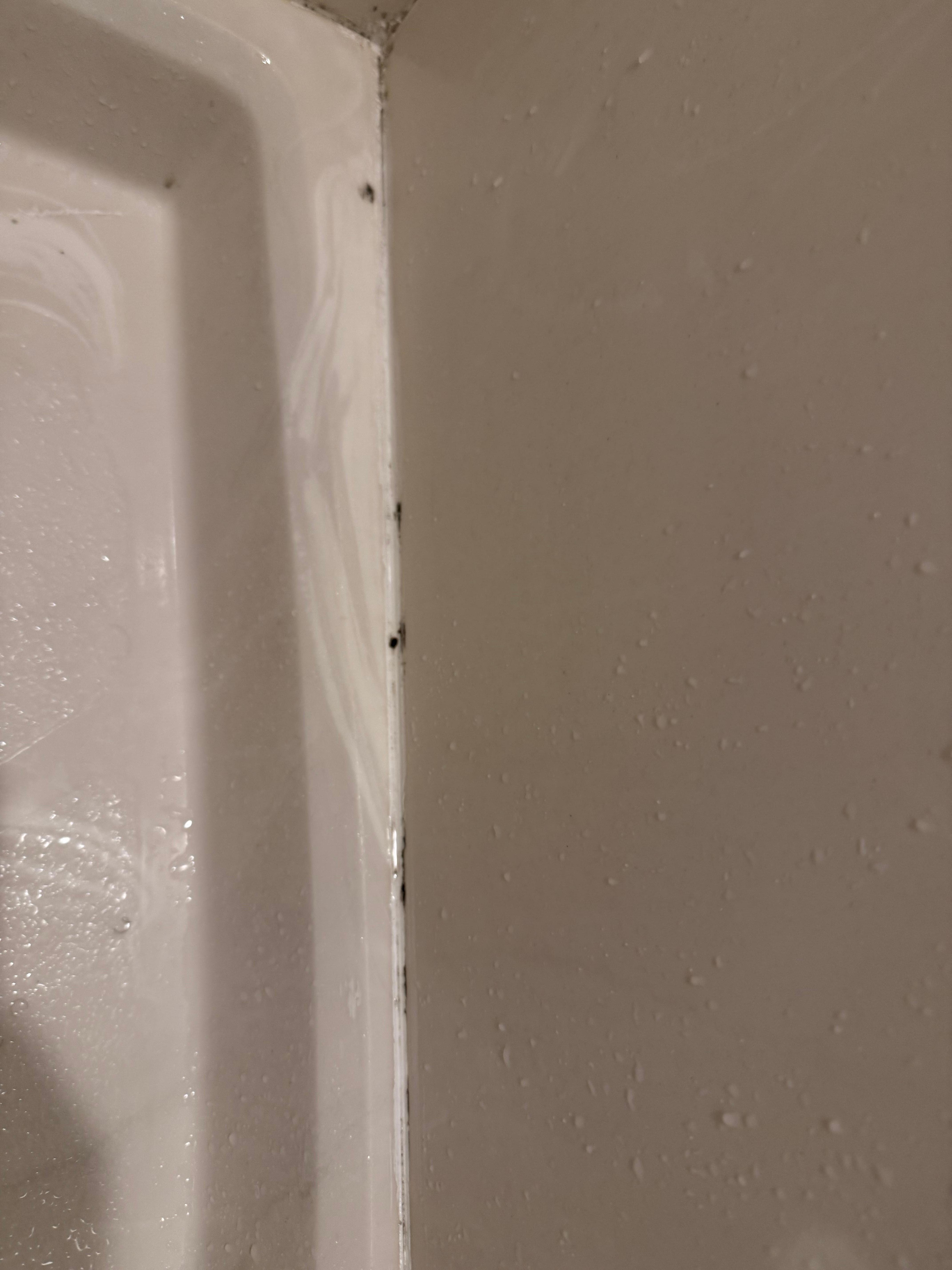 Mold in shower 