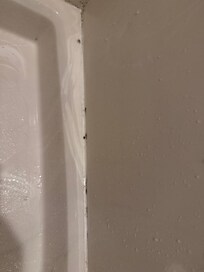 Mold in shower