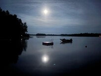 Lake by night
