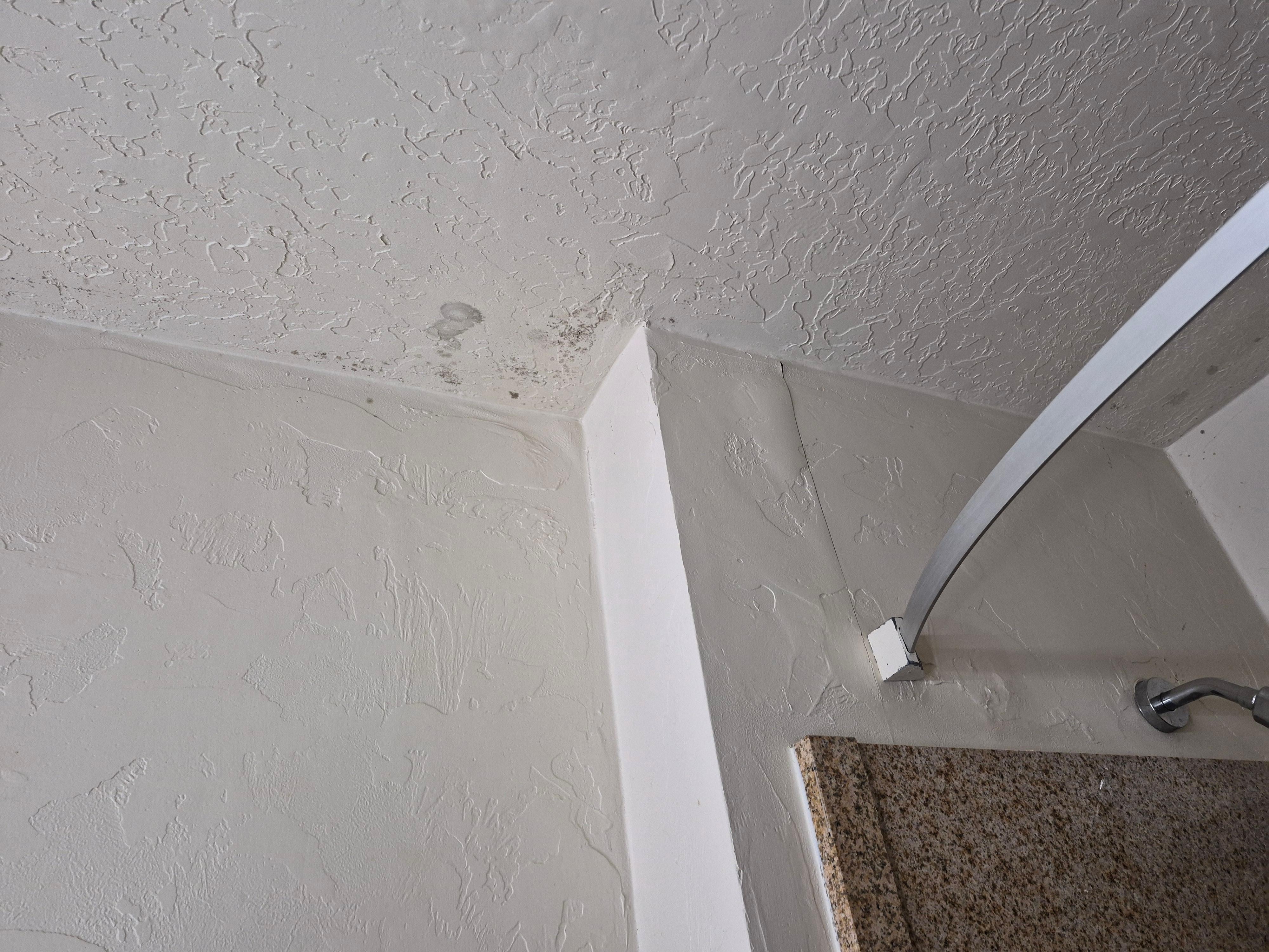 Mold and bubbling paint in bathroom