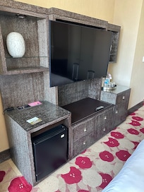 the TV
