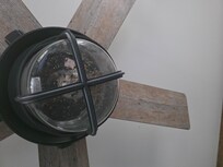 Master ceiling fan with bugs in the fixture.