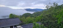 View from the deck