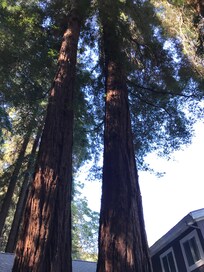 From the front porch