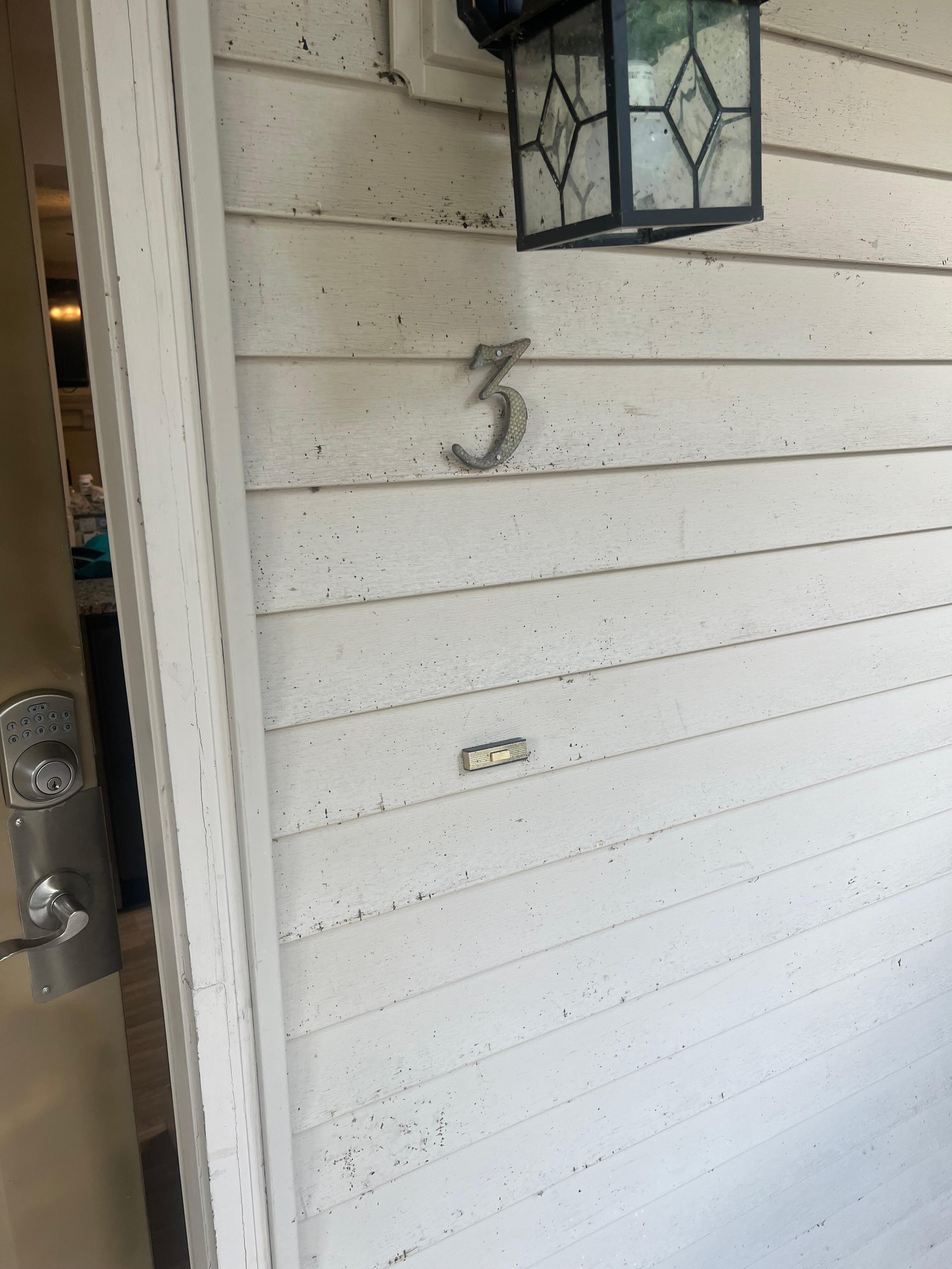 Dirty bugs outside of front door 