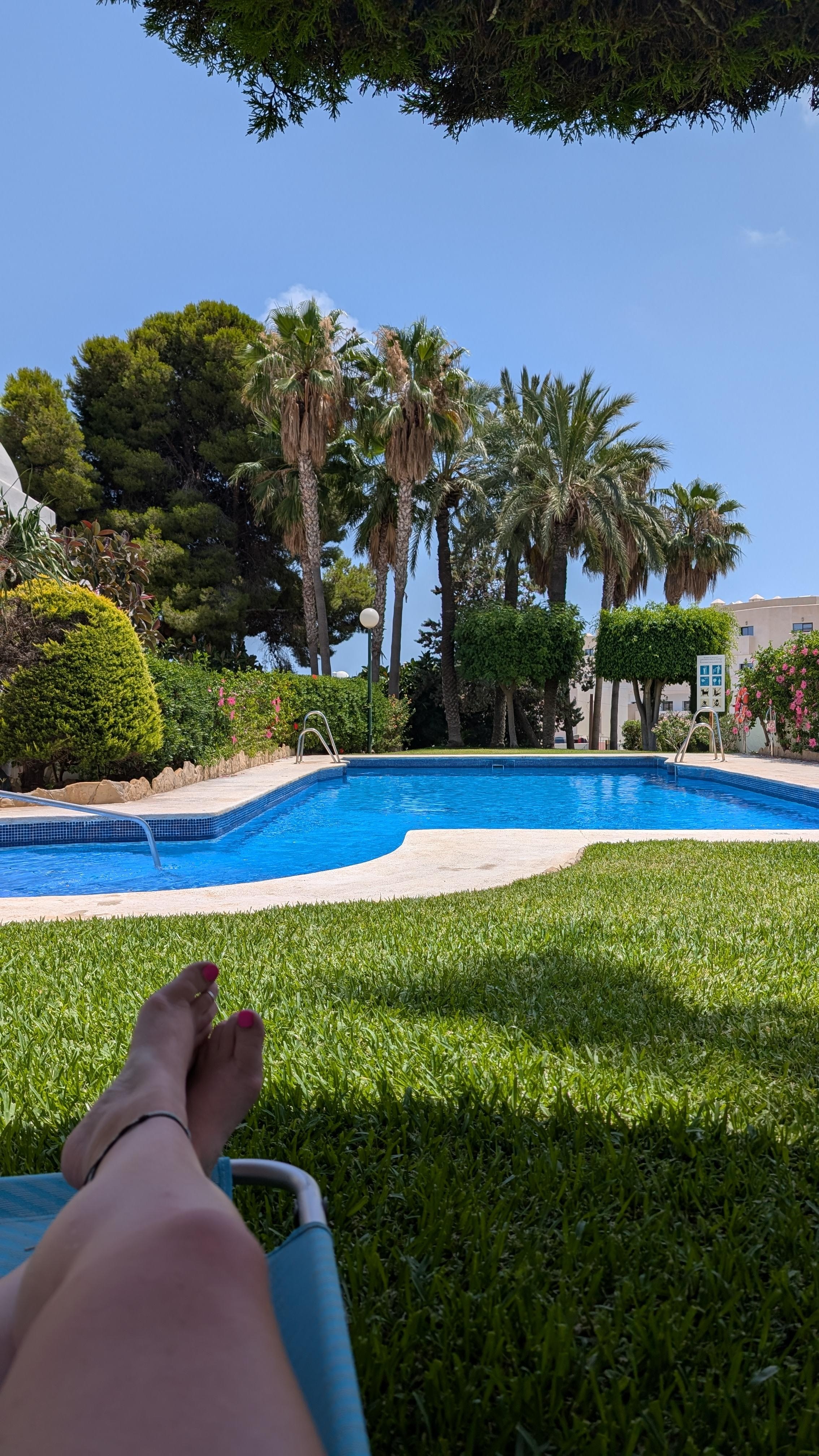 Pool area. Shade provided by trees
